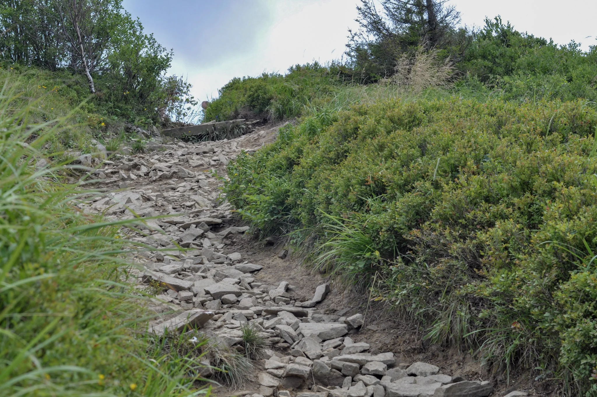 Rocky ascent on the red trail in the Biezczady Mountains