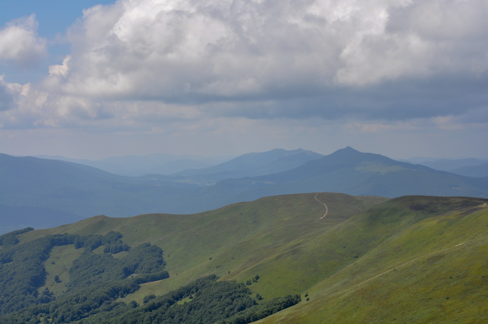 View of red trail through the poloniny at the Tarnica summit.