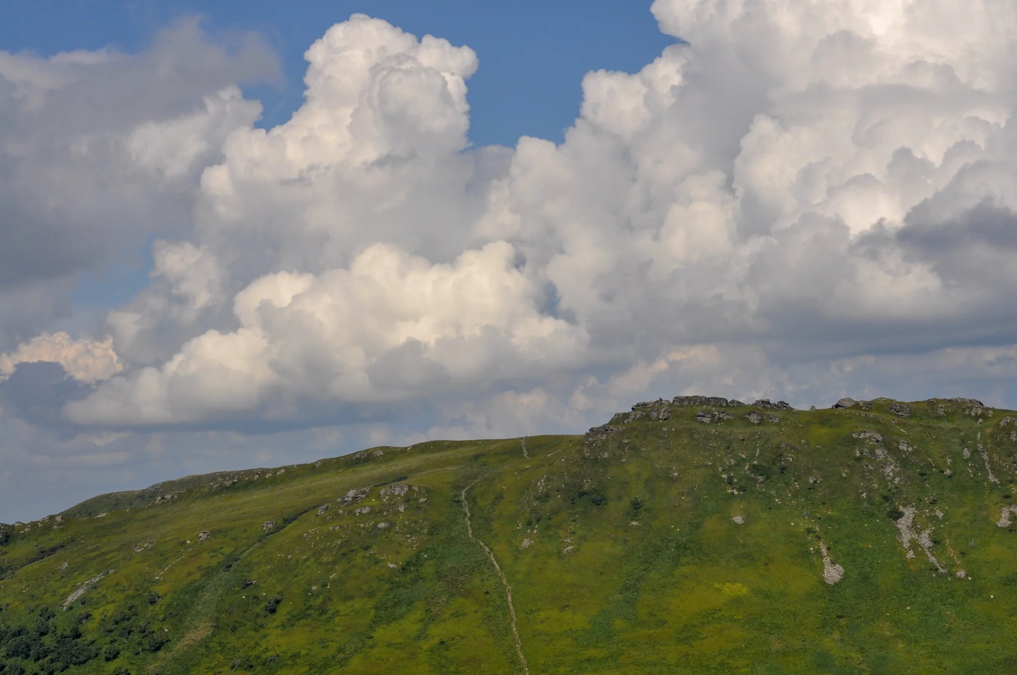 Red hiking trail through the poloniny in the Bieszczdy Mountains