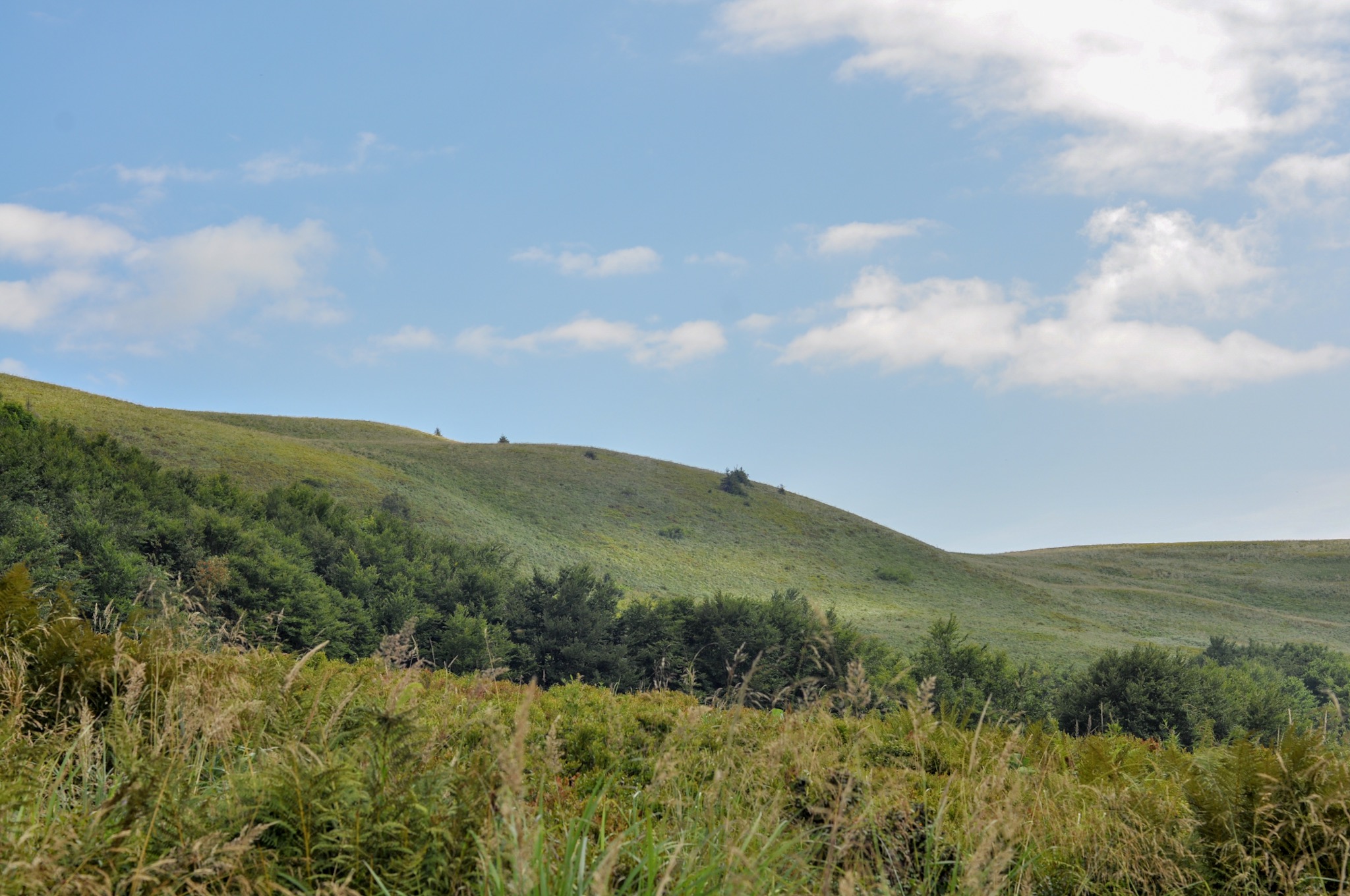 Poloniny on the red trail to Tarnica