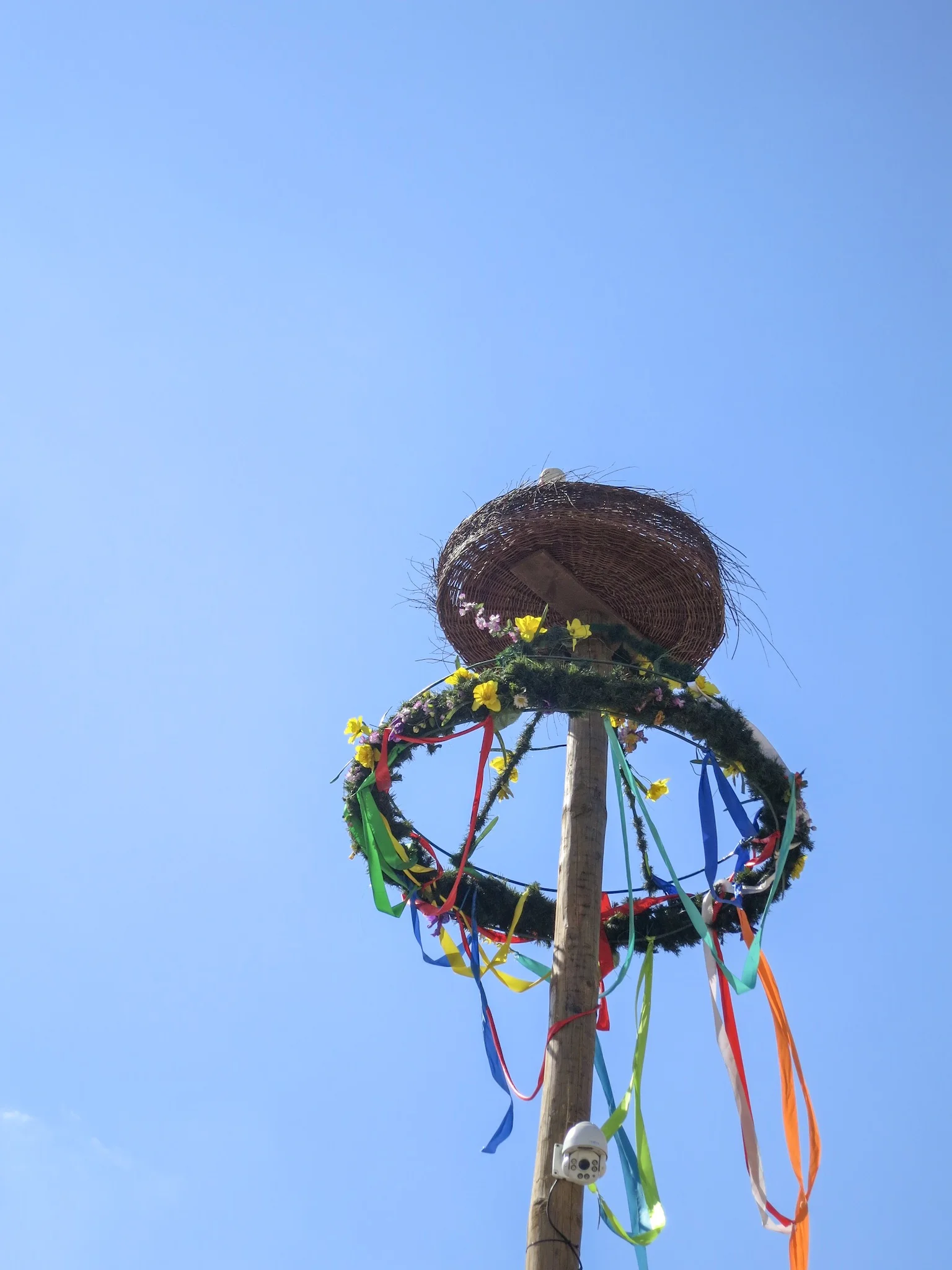 Stork’s nest with streamers in the sky above the Krakow Easter Market