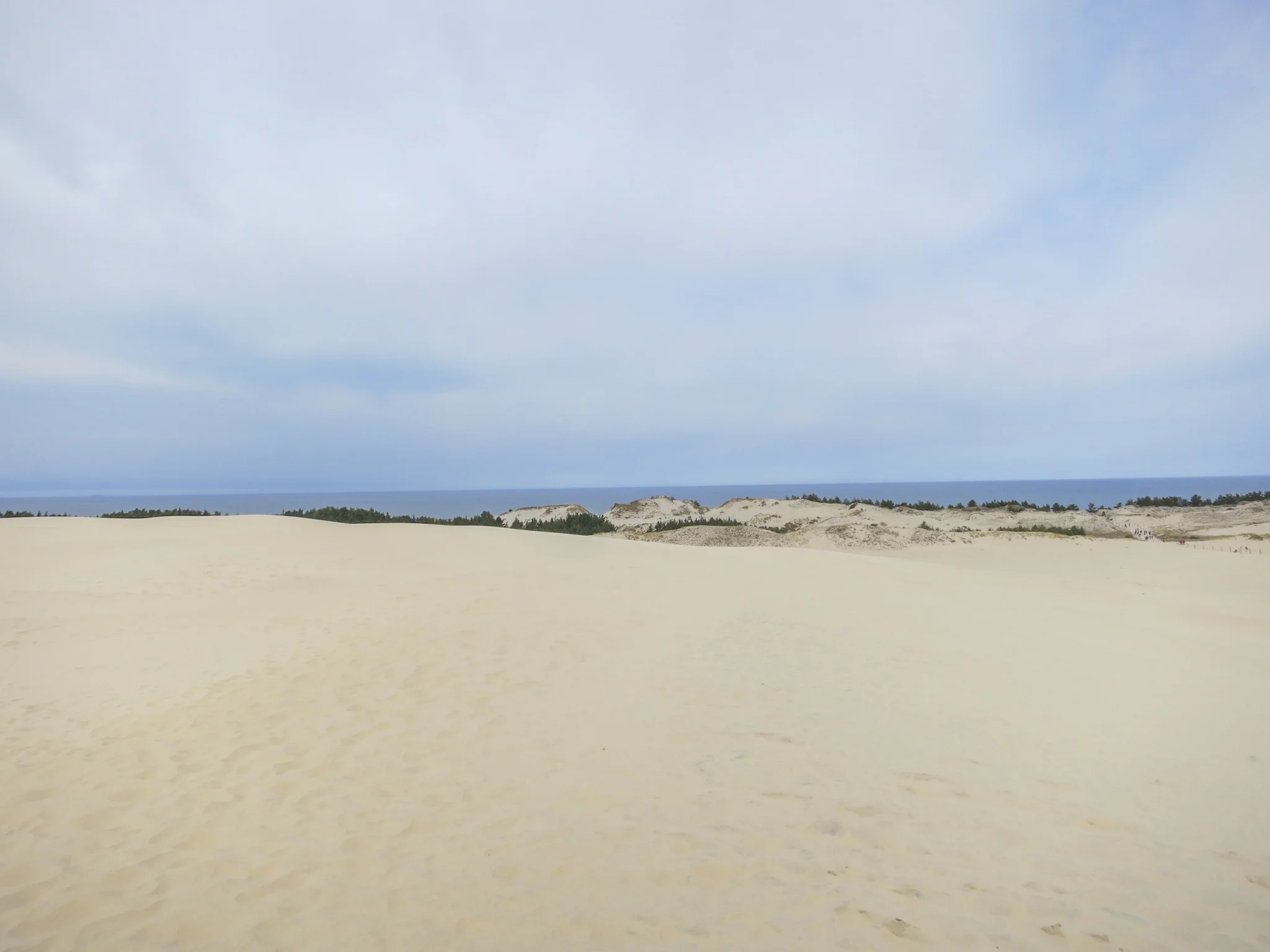 An open stretch of sands on the Łackca Sand Dune In Słowiński National Park