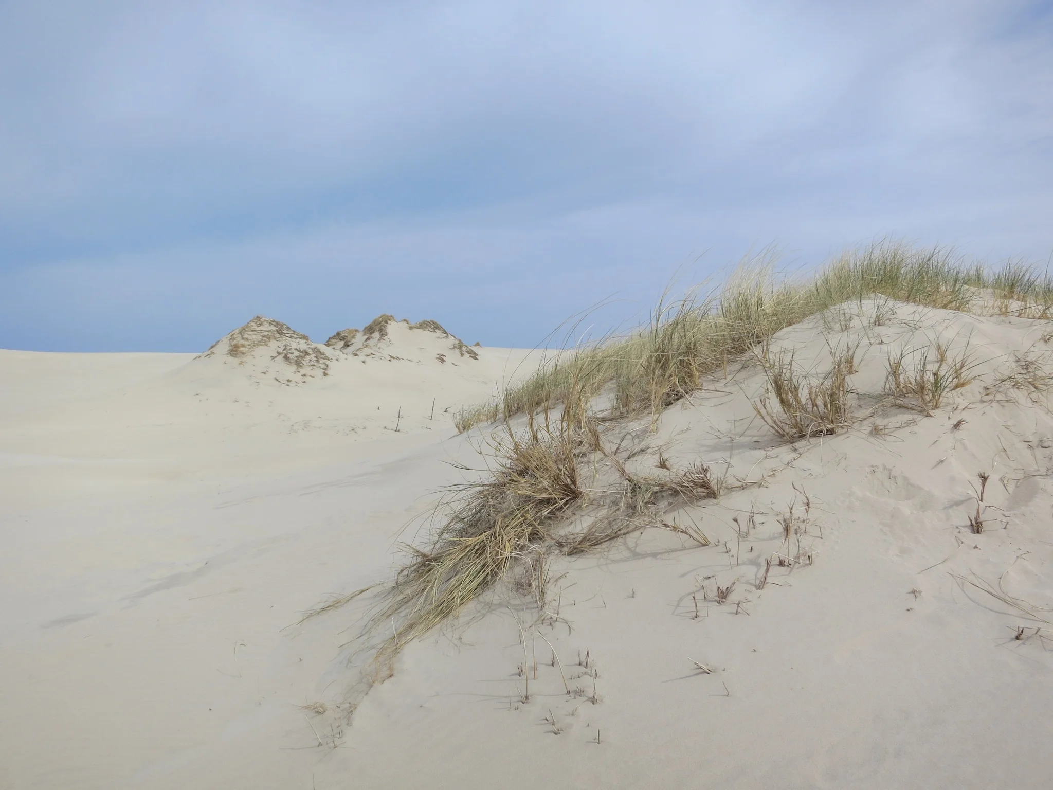 Łackca Sand Dune In Słowiński National Park