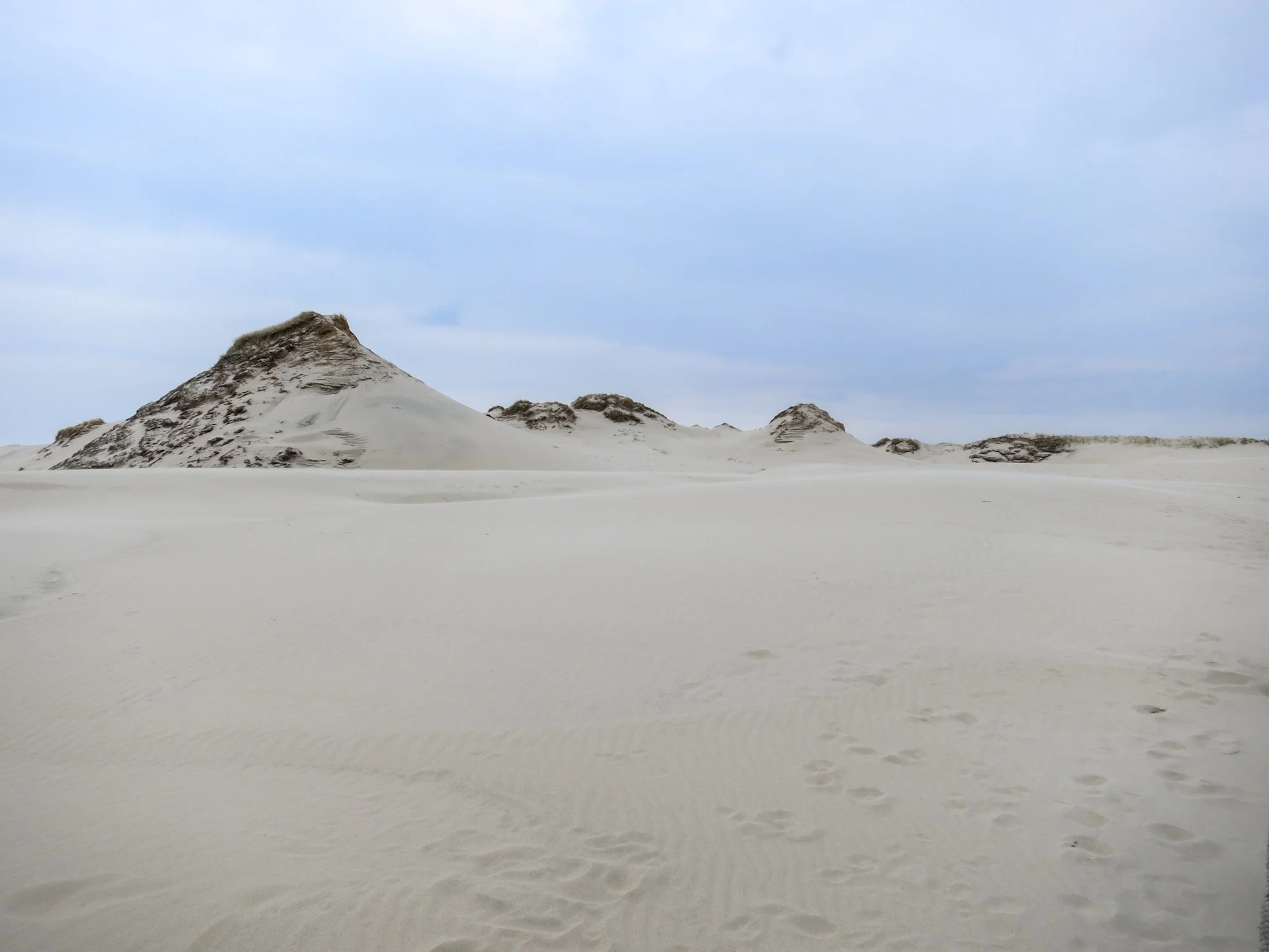 Hills on the Łackca Sand Dune In Słowiński National Park