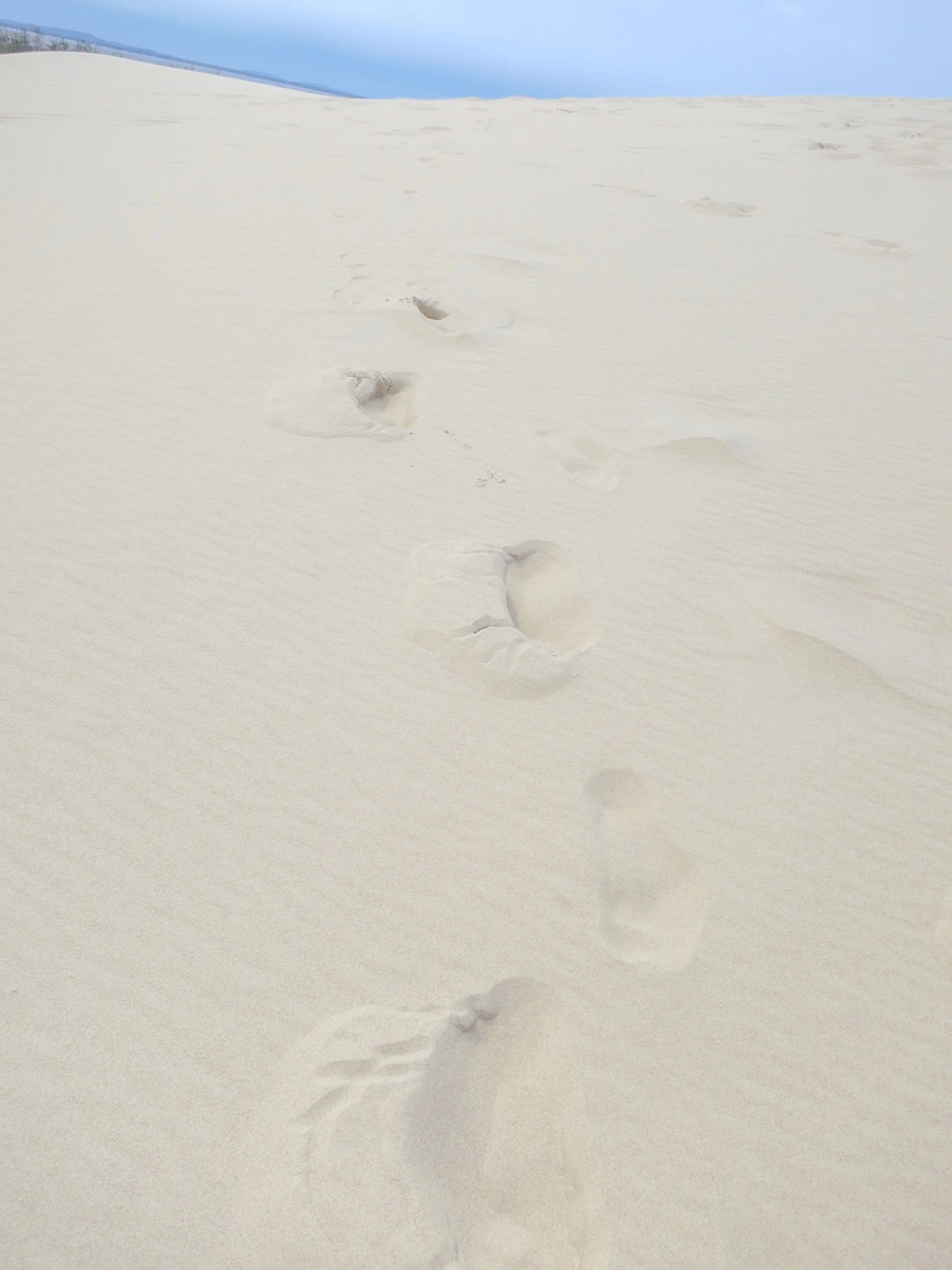 Footsteps in the sand of the Łackca Sand Dune In Słowiński National Park