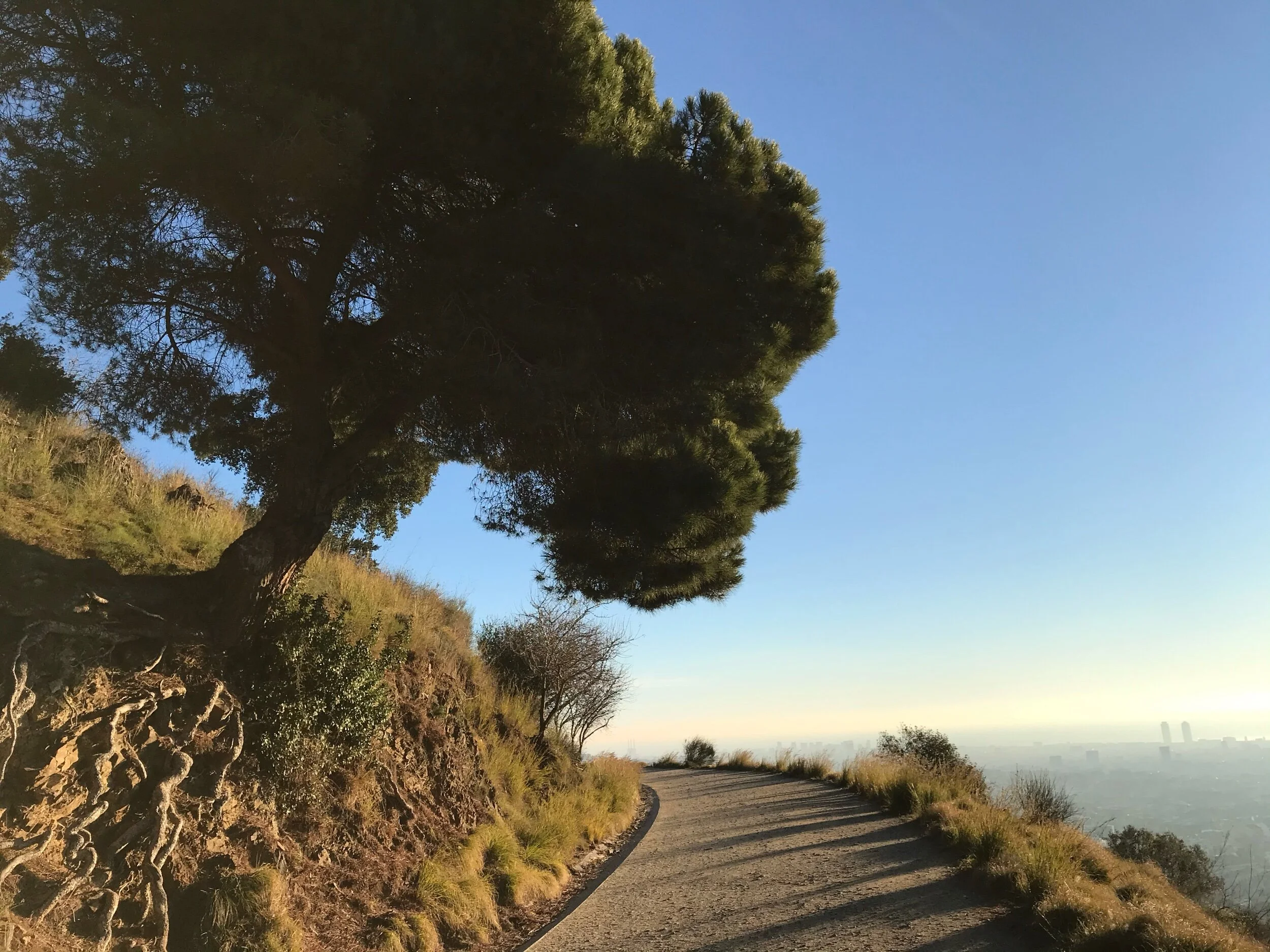 Walk Moments