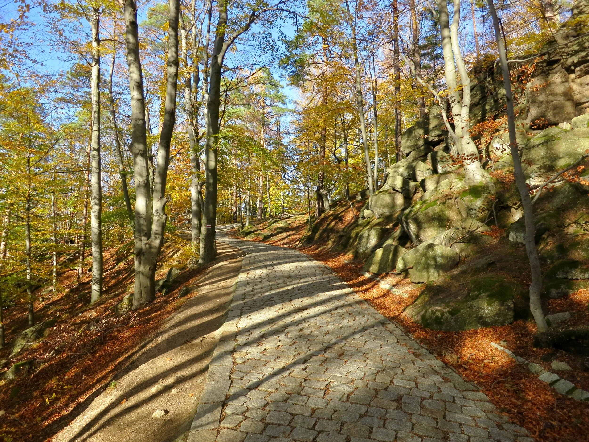 Path through the Karkonosze National Park leading to Chojnik Caastle