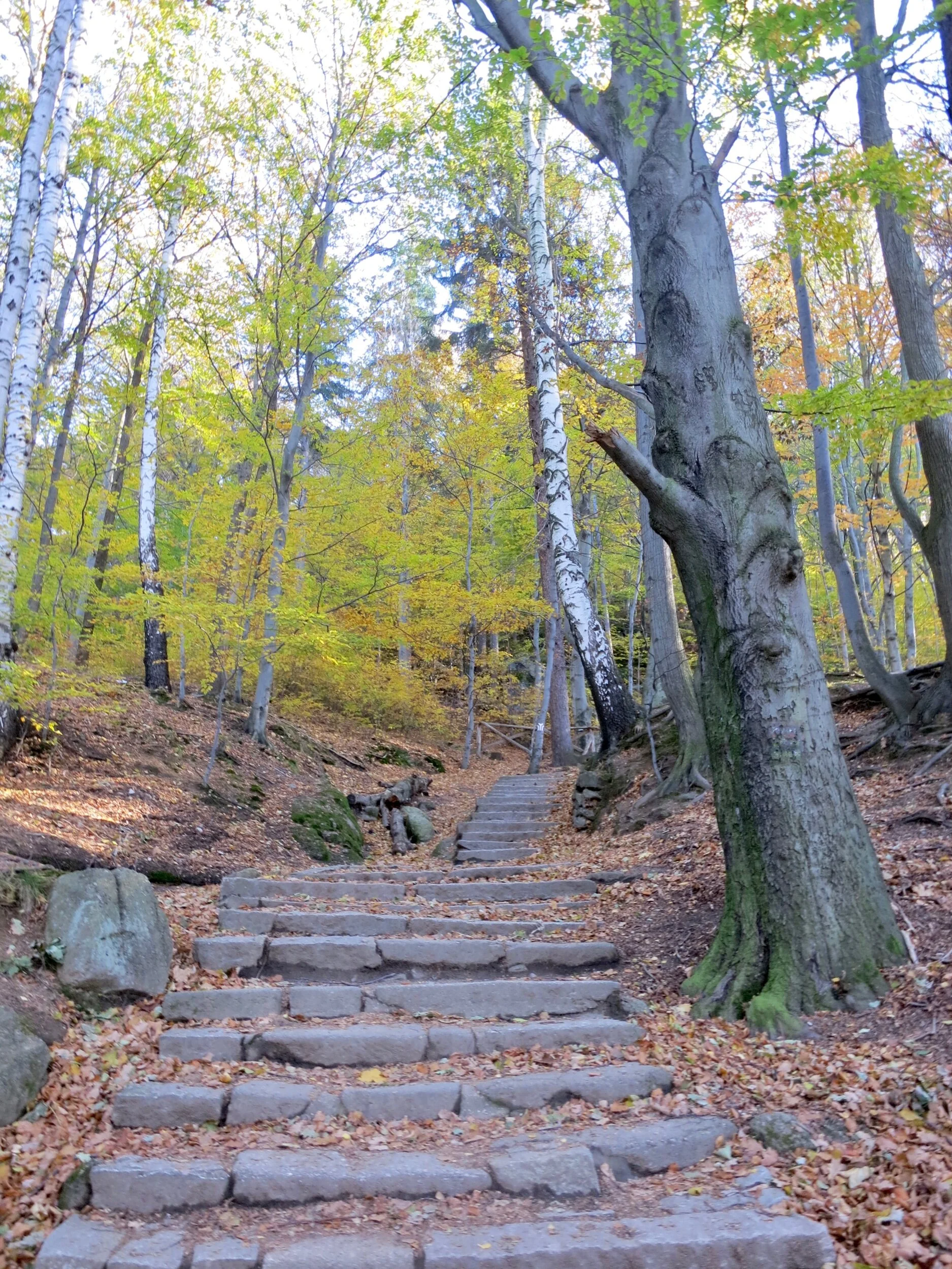 Steps on the path to Choinik Castle through the Karkonosze National Park