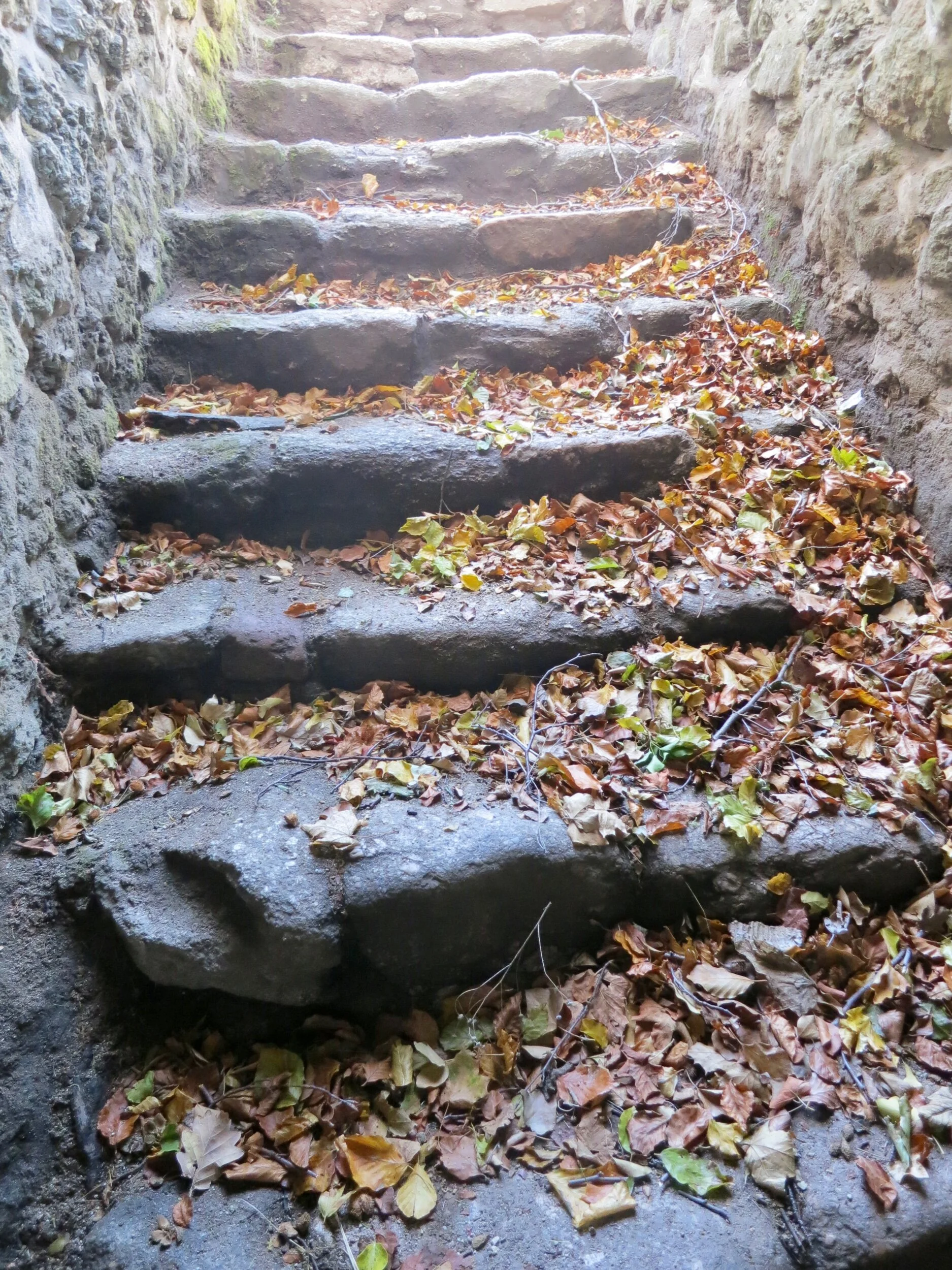Stone steps covered in autumn leaves in Chojnik Castle