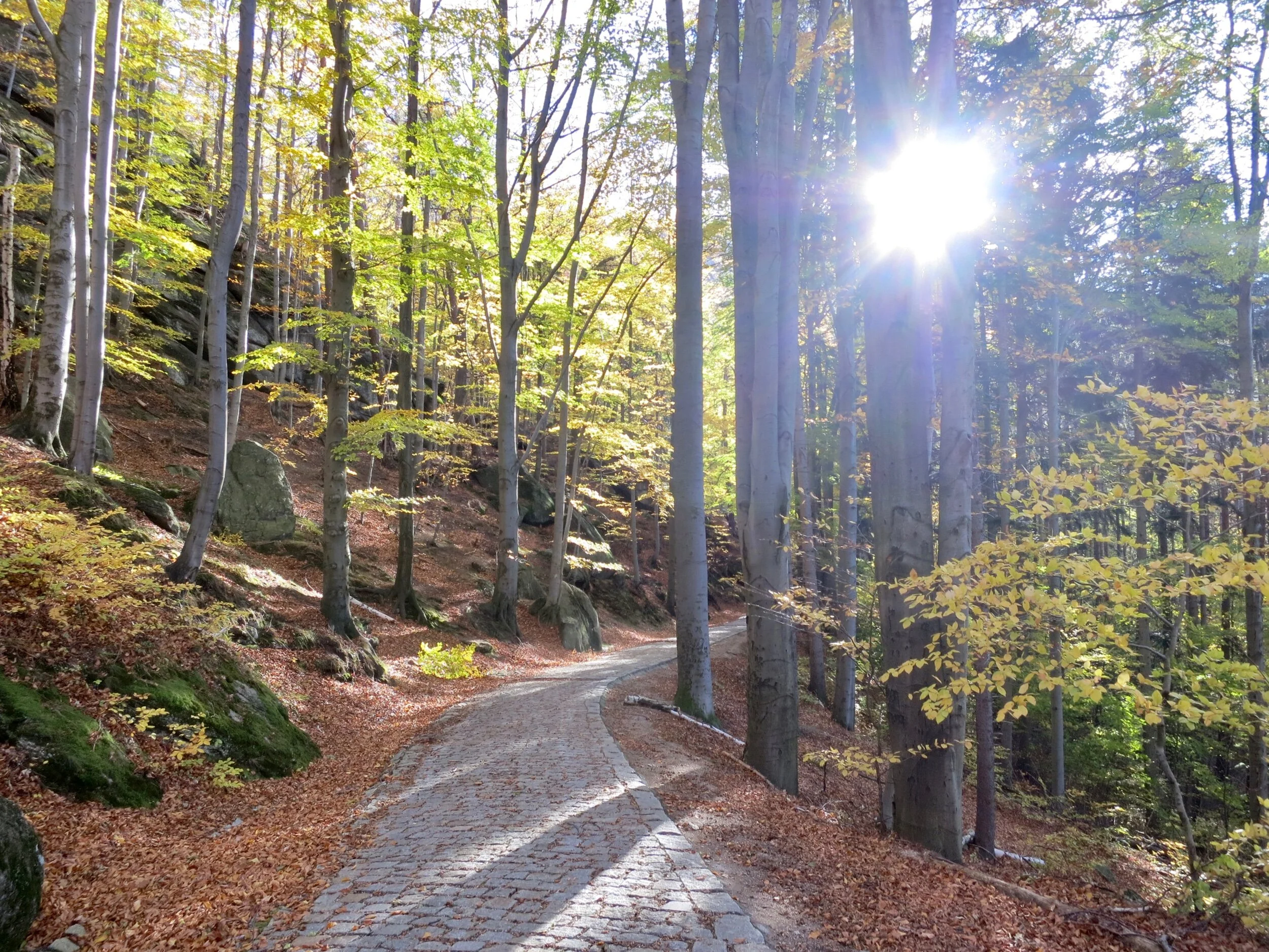 Path through Karkonosze National Park near Jelenia Góra, Poland