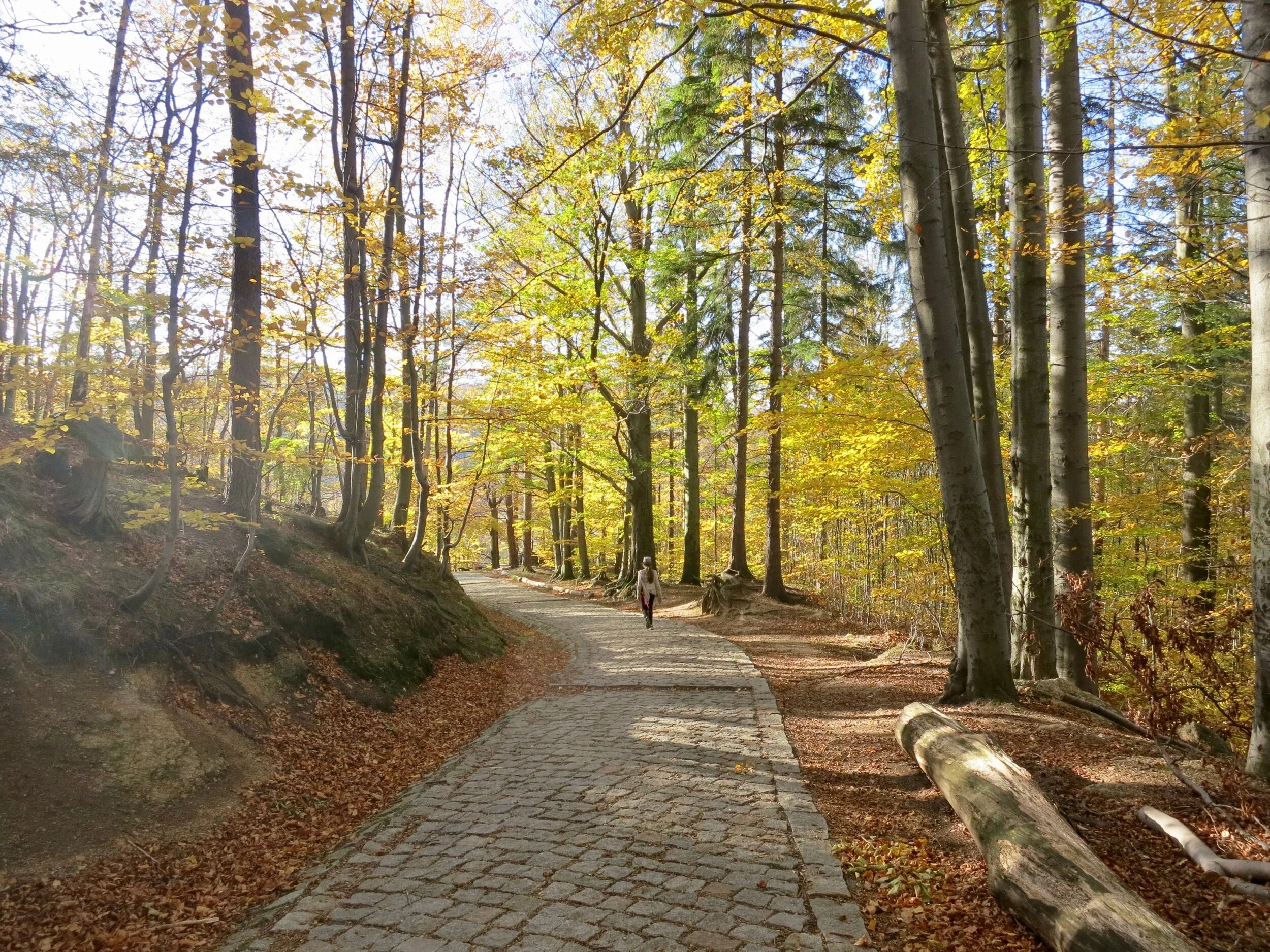 Path to Chojnik Castle through Karkonosze National Park near Jelenia Góra, Poland