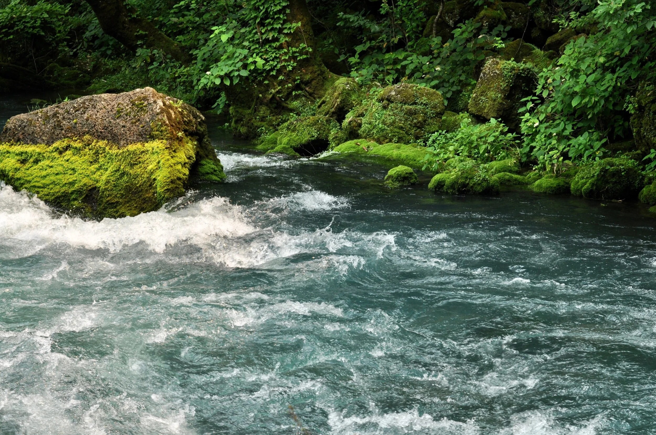 A Walk Through Big Spring