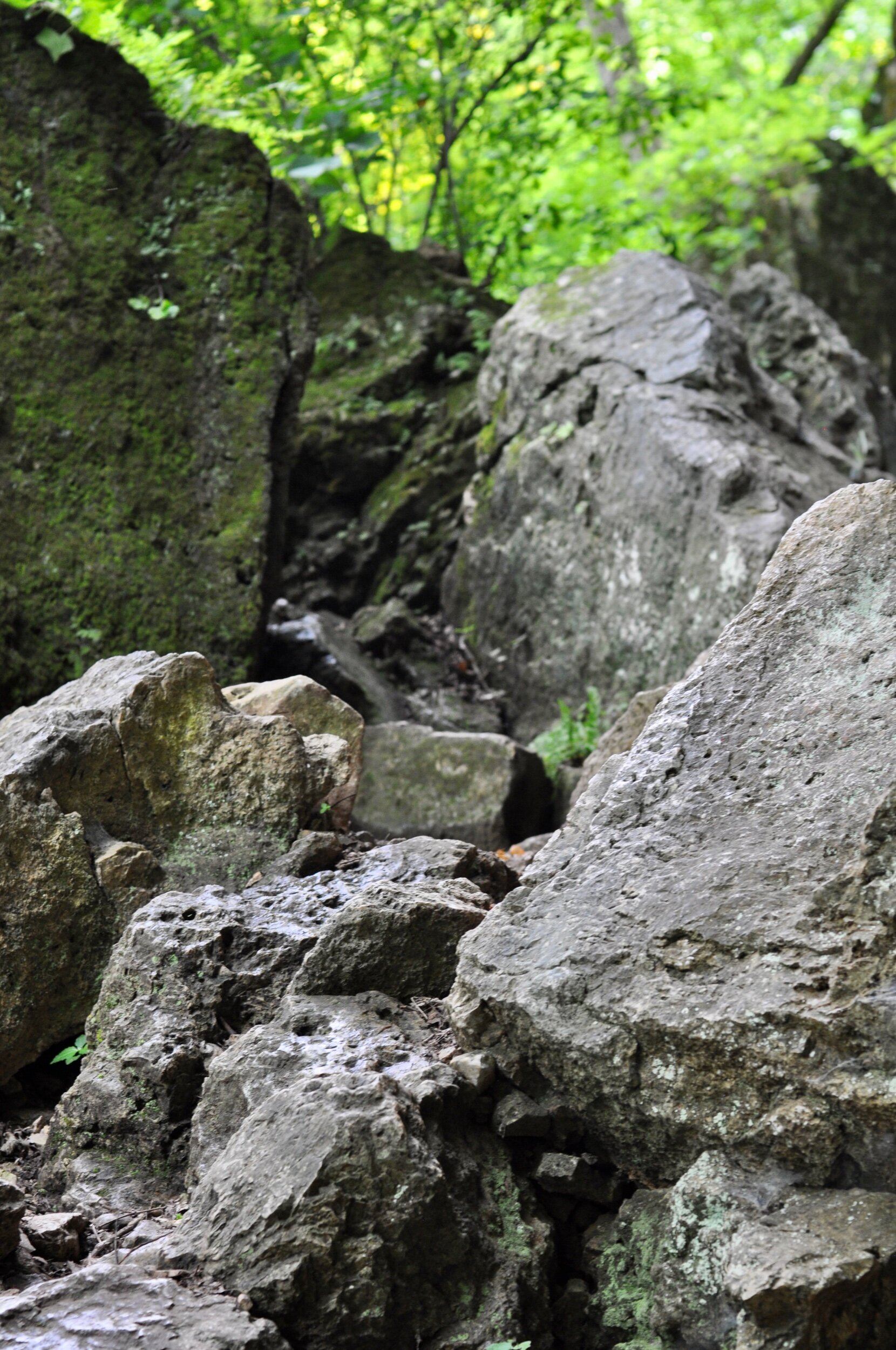 Rocks in the forest above the Big Spring