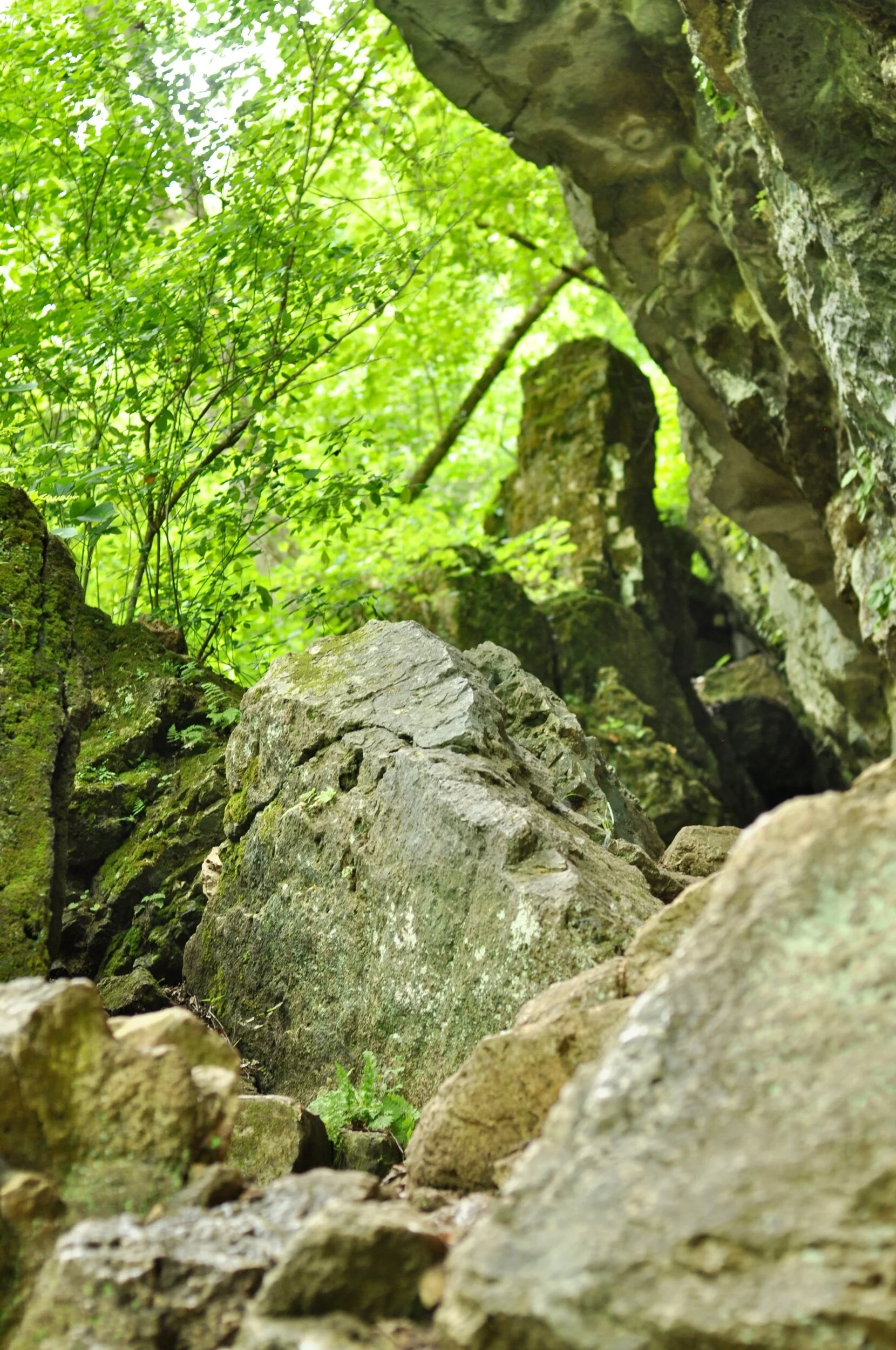 A rocky path above Big Spring in Missouri