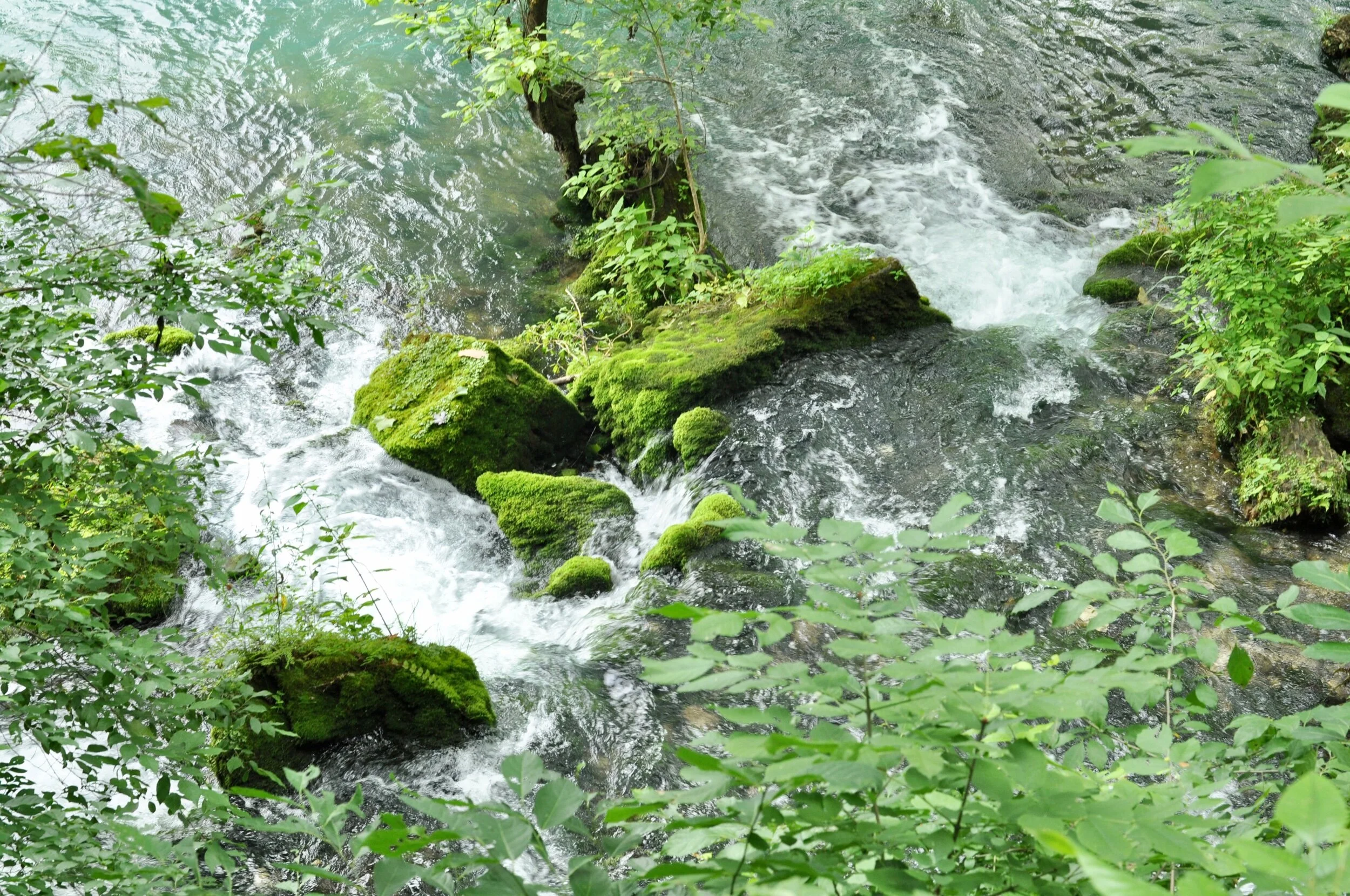 A view from above the spring