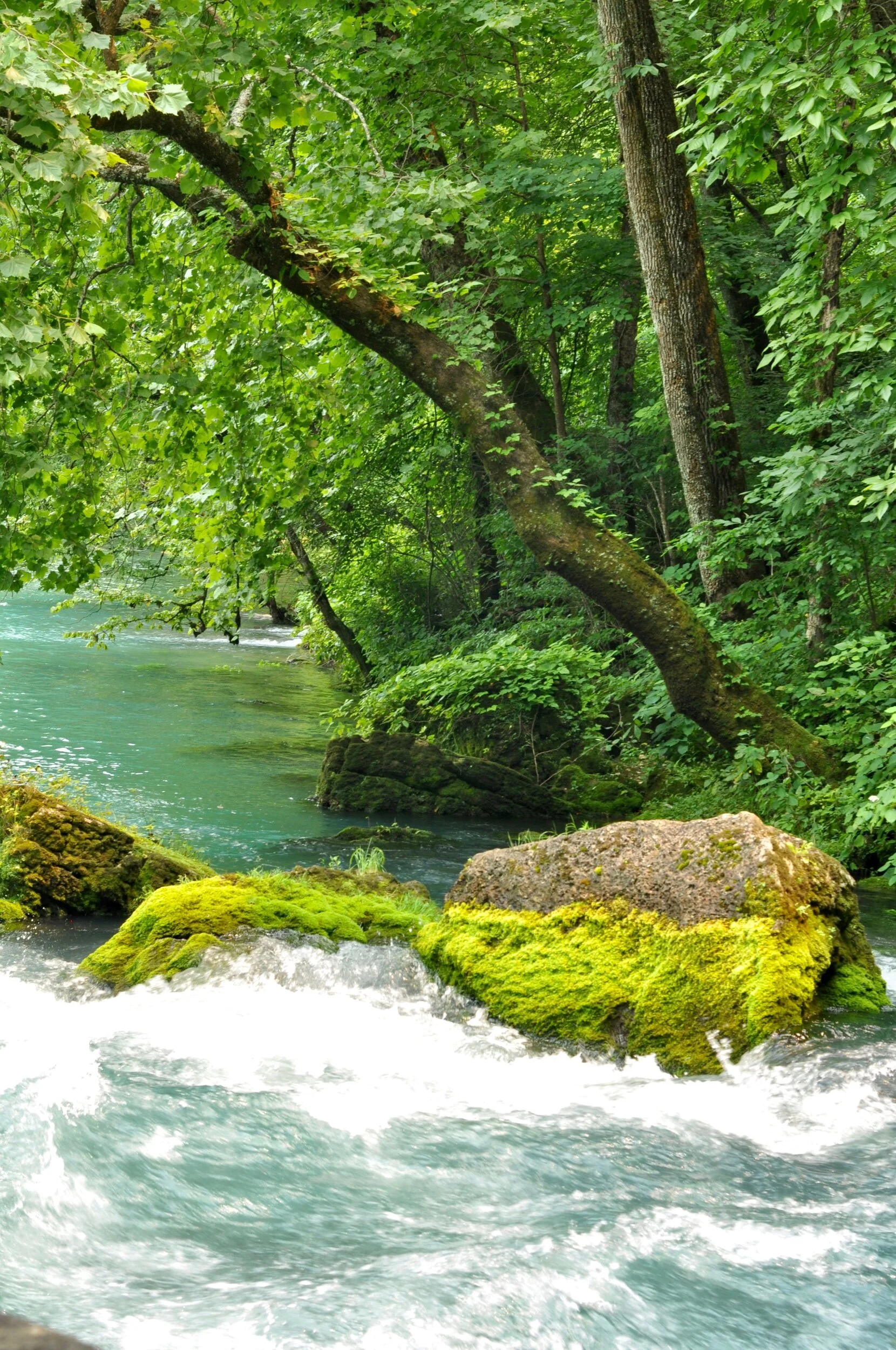 Big Spring, part of the Ozark National Scenic Riverways