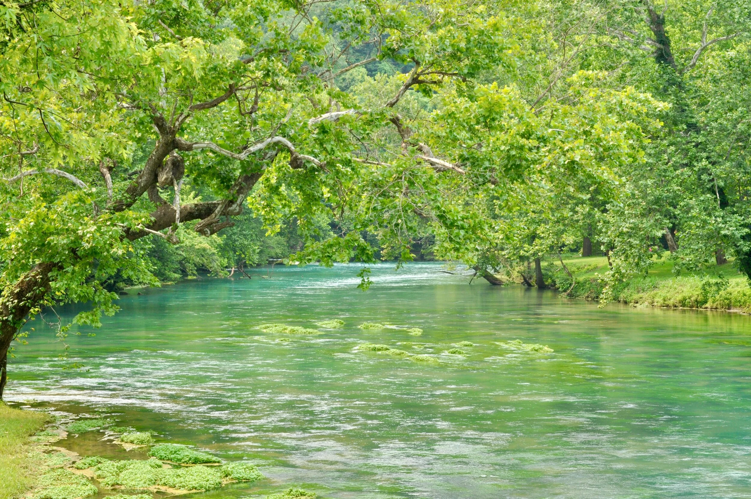 Big Spring, Missouri, part of the Ozark National Scenic Riverways