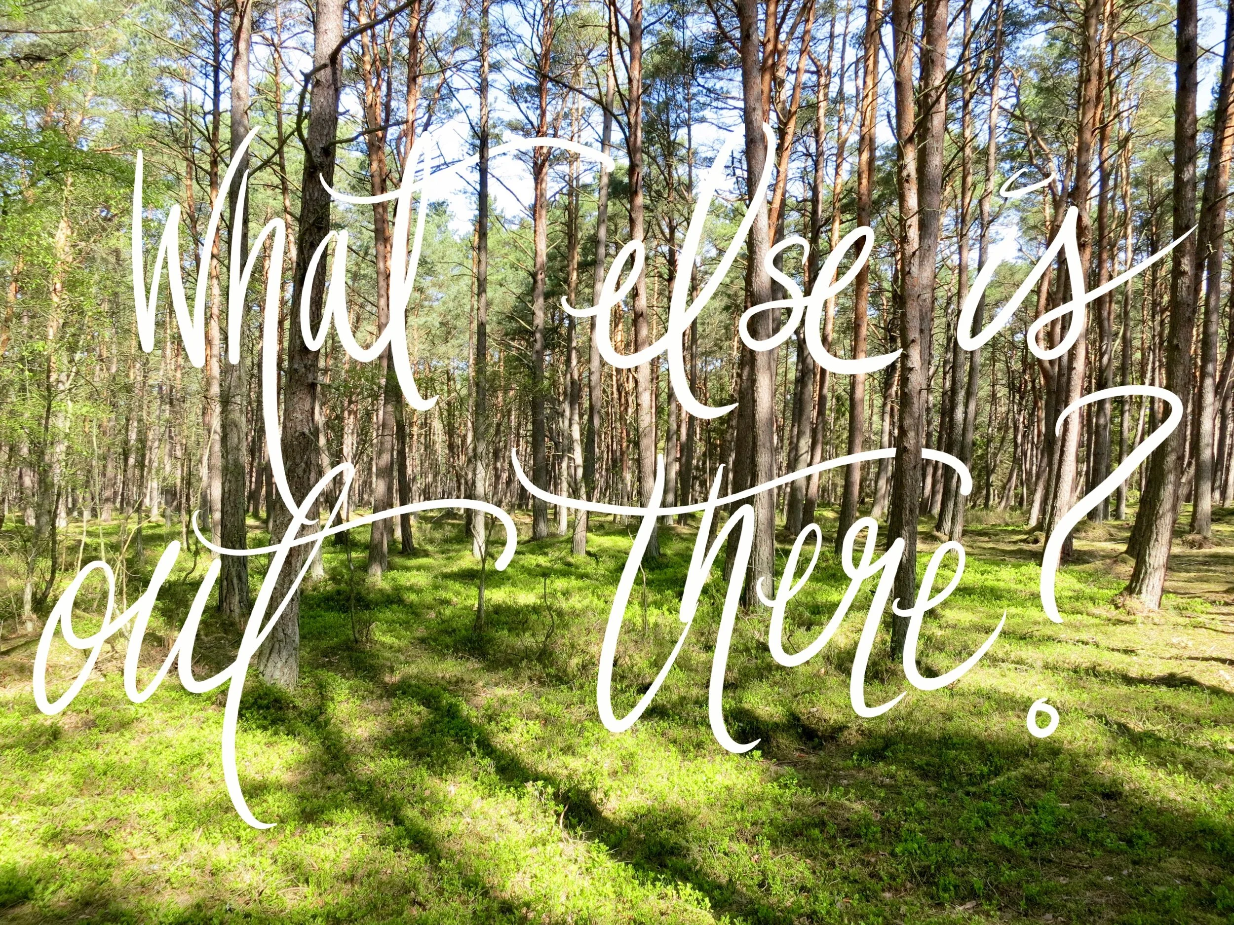 What Else Is Out There?
