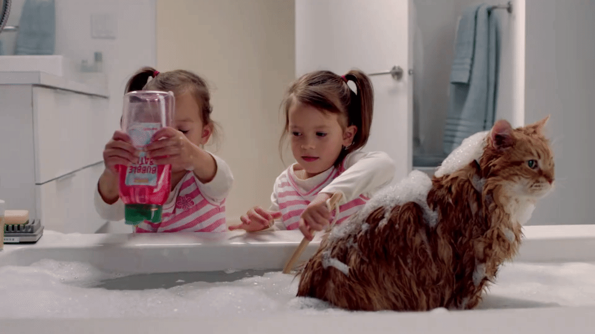 y2mate.is - canary___while_you_were_out-_xpFwMYn4JU-1080pp-1707262707.gif