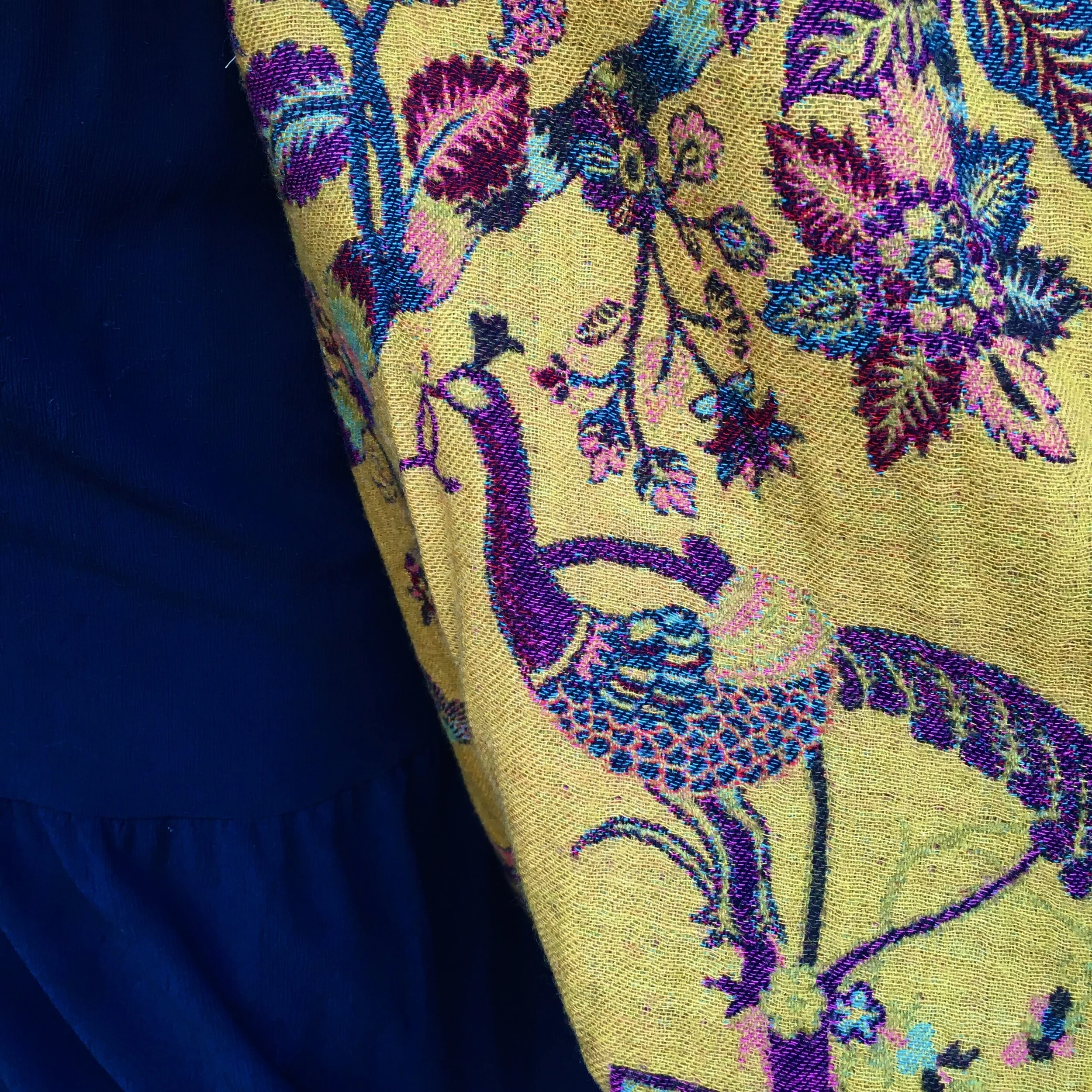 peacocks yellow coat