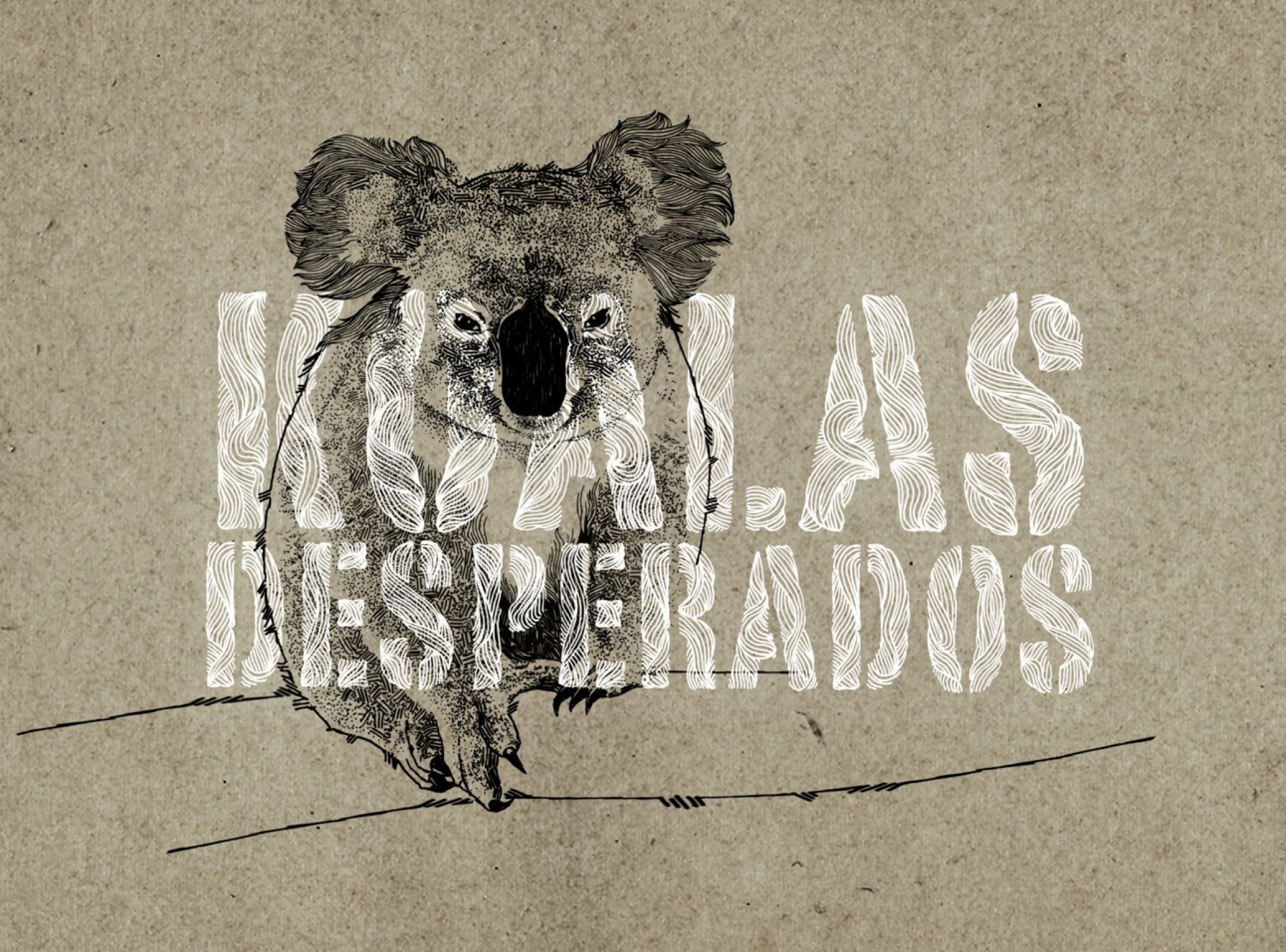 EG_Silan_Bekjarov_koalas.jpg
