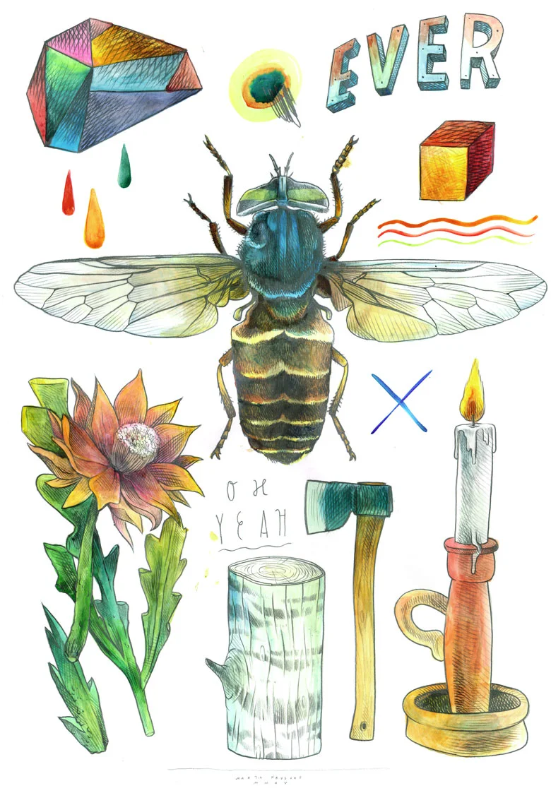 Objects_fliege_color.jpg