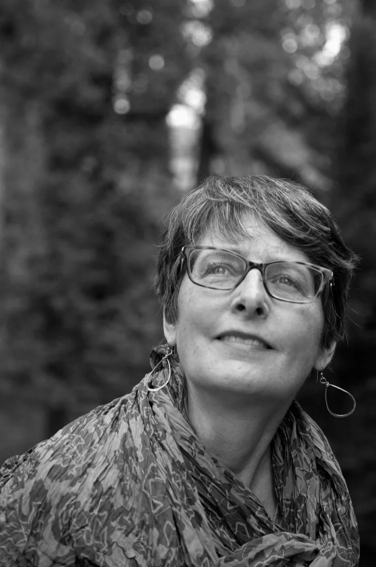 Pam Fox on American Spark