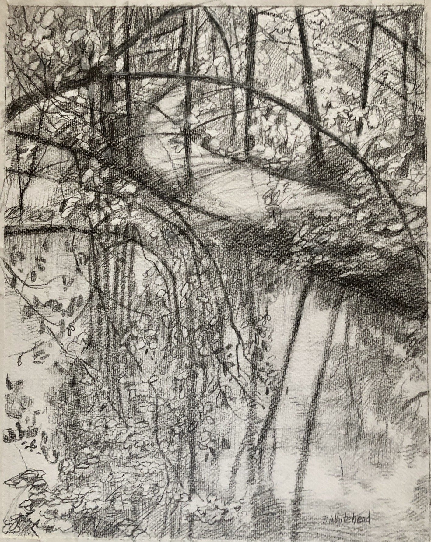 Towpath on the C&O - Crescent, 11x14". graphite, charcoal, conte (sold)