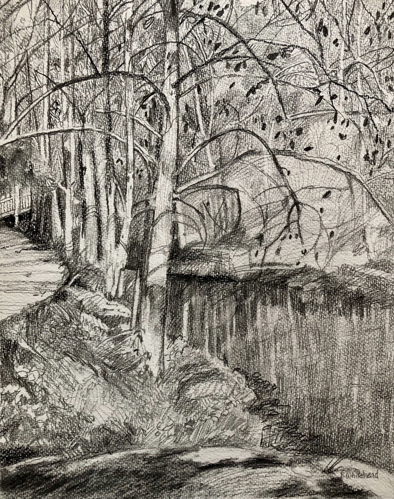 Towpath on the C&O - Allee, 11 x 14", graphite, charcoal, conte