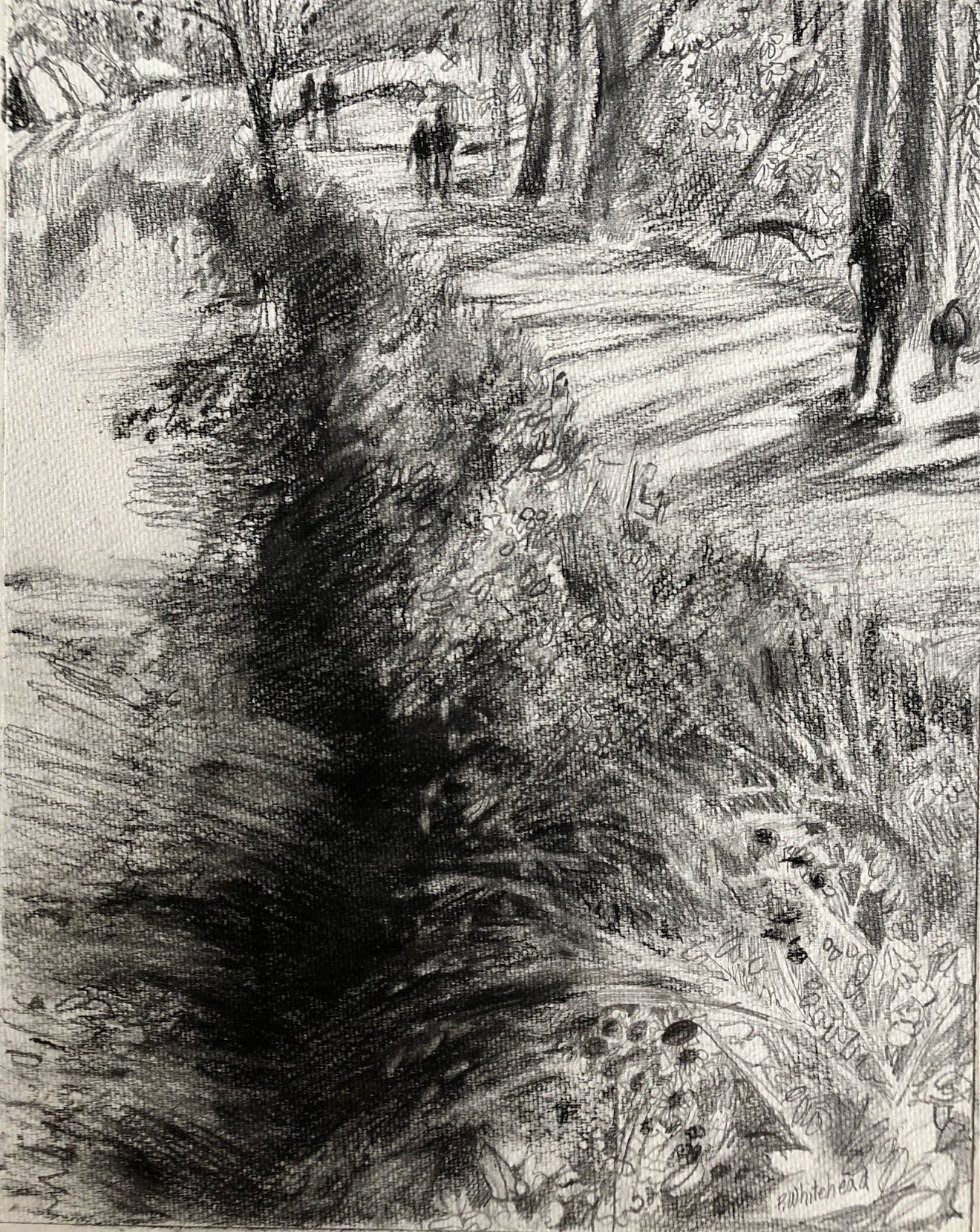 Towpath on the C&O - Amble, 11 x 14", graphite, charcoal, conte