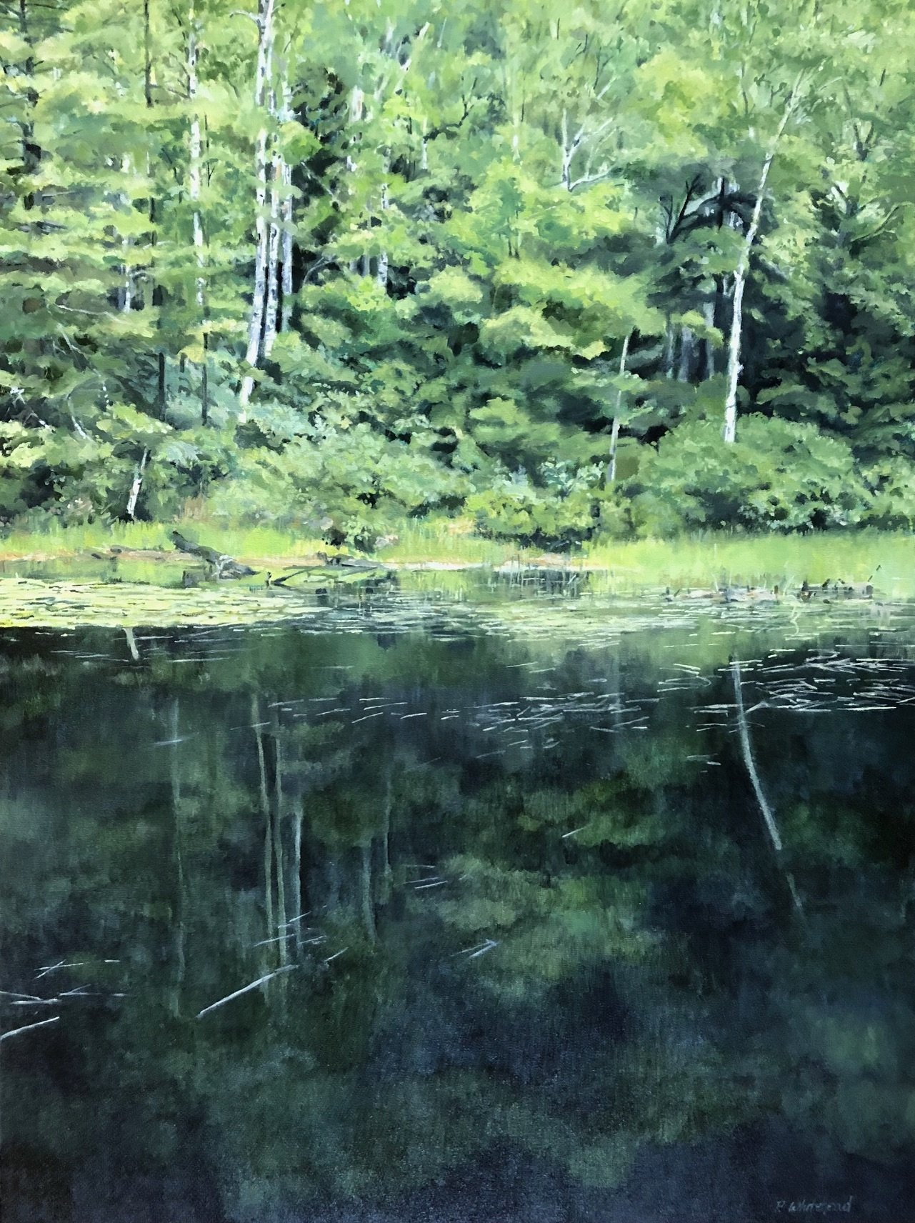 Wetland in Green (Adirondacks), 30 x 40", oil, (sold)