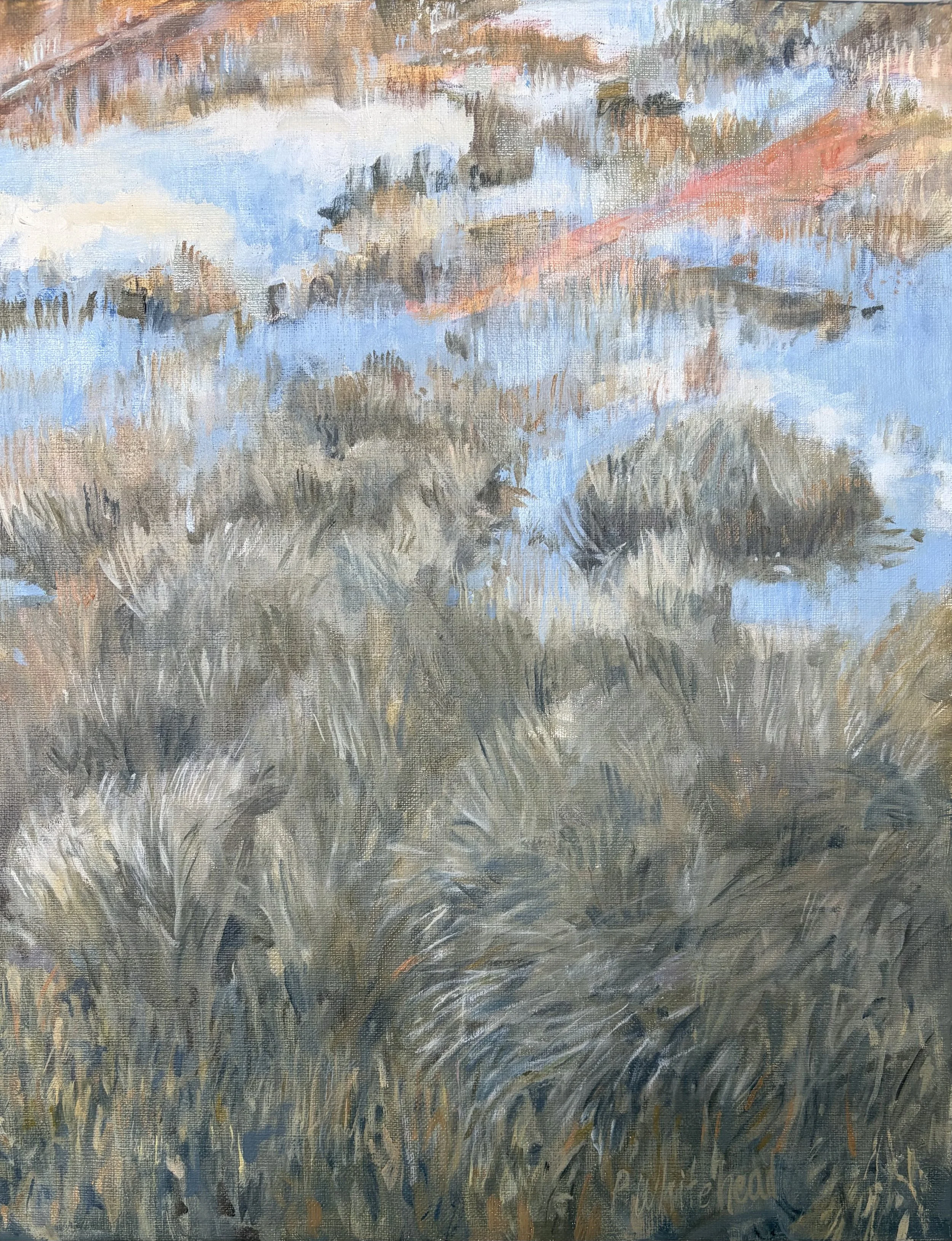 Wetlands, The Marsh at Sunset, 11 x 14, oil