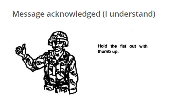 pasted image 0-2.png