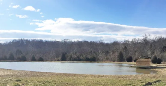 Catlett_duckblind3_p.jpg