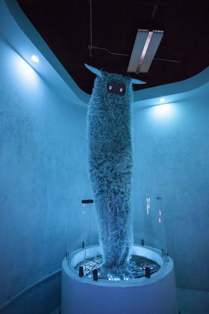 The Evolution of Interactive Art