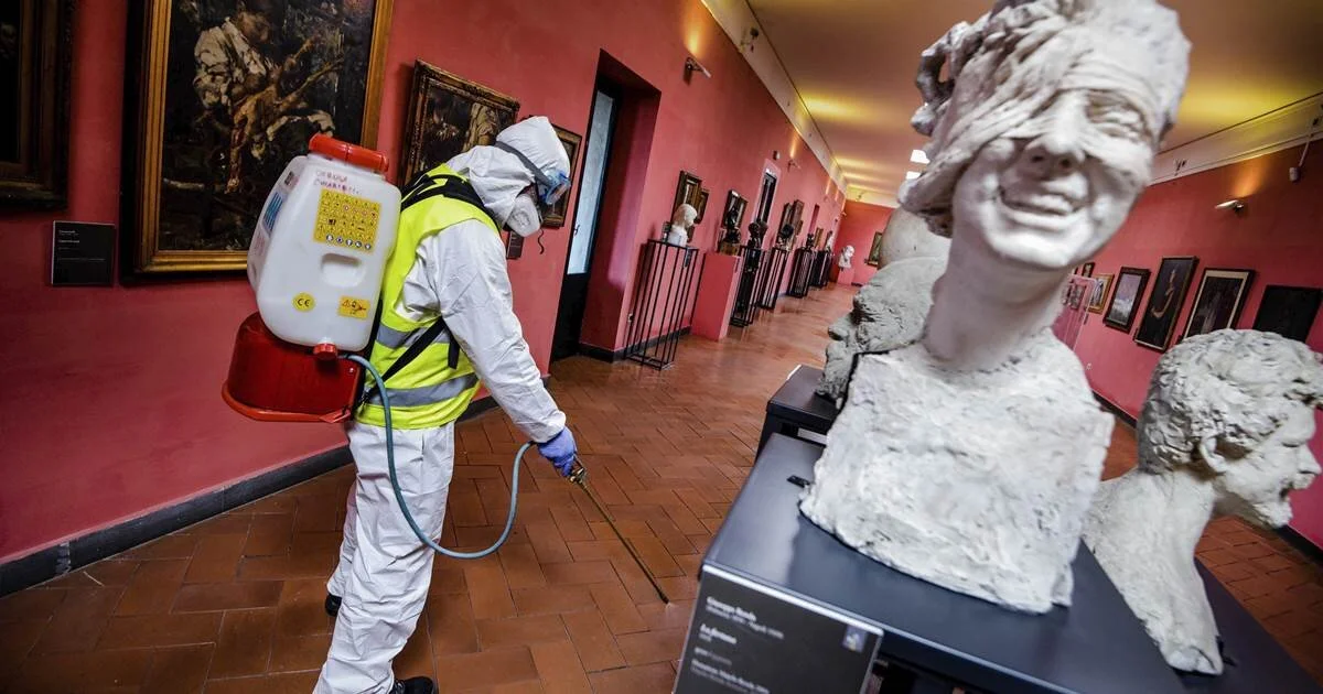 A Post-COVID 19 Art World