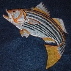 Striped Bass