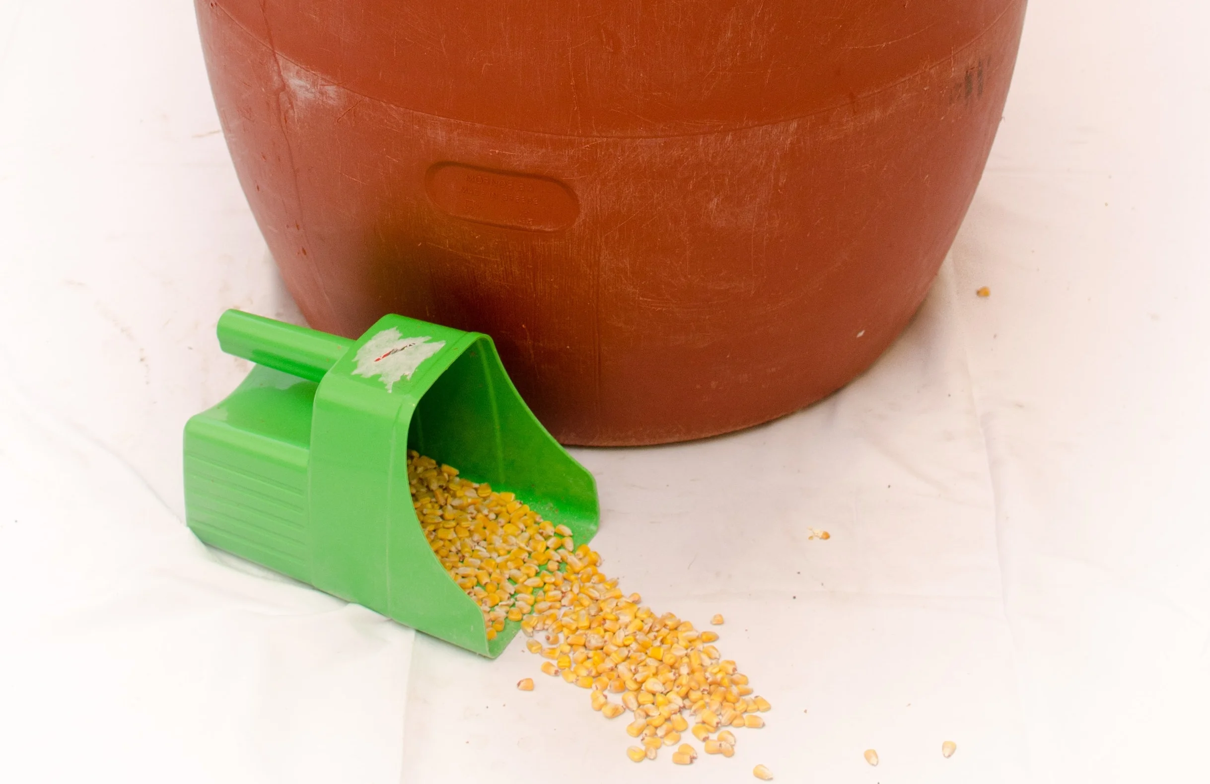 red screw top feed example far back.JPG