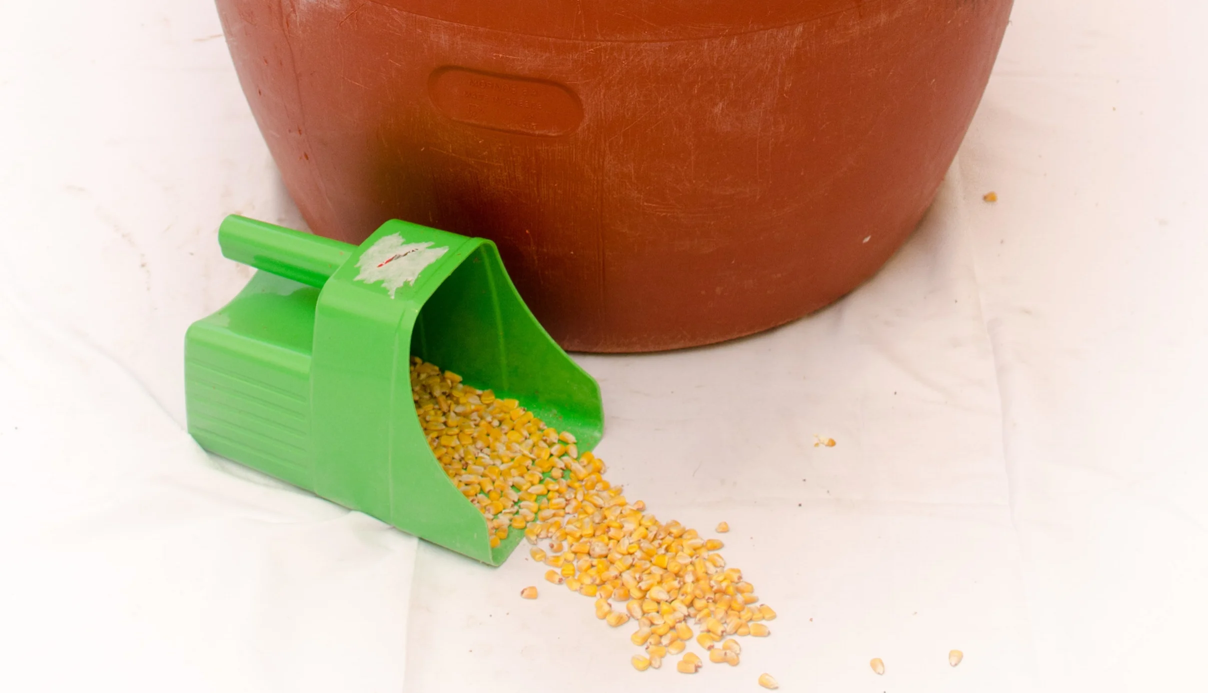 red screw top feed example far back.JPG