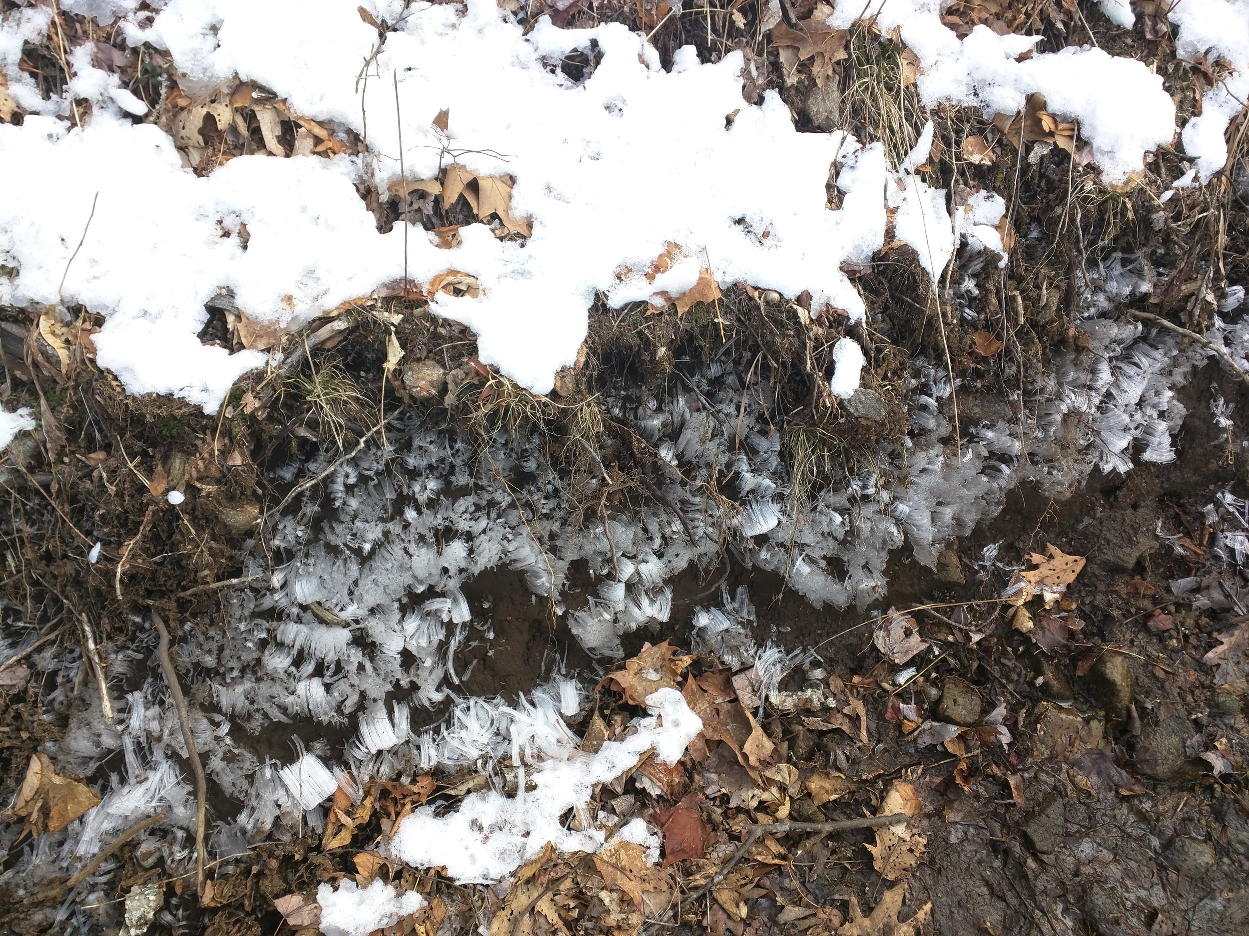 Weird ice extrusions