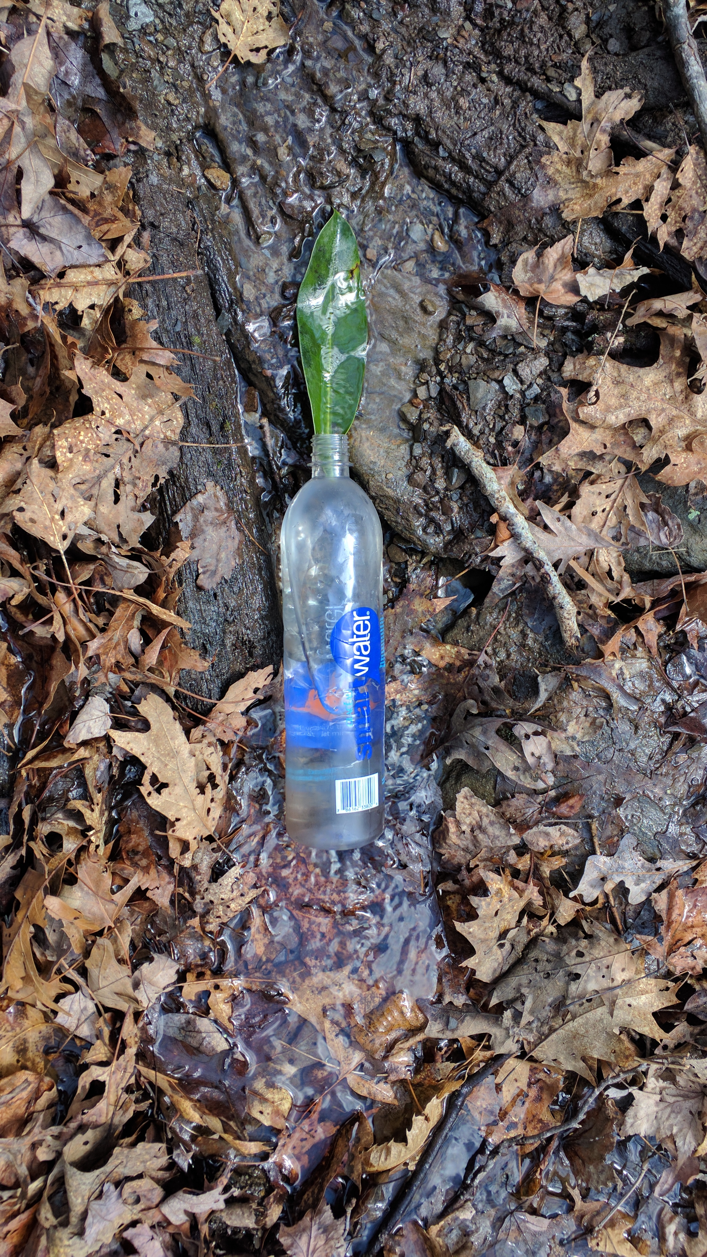 How I get my water. 