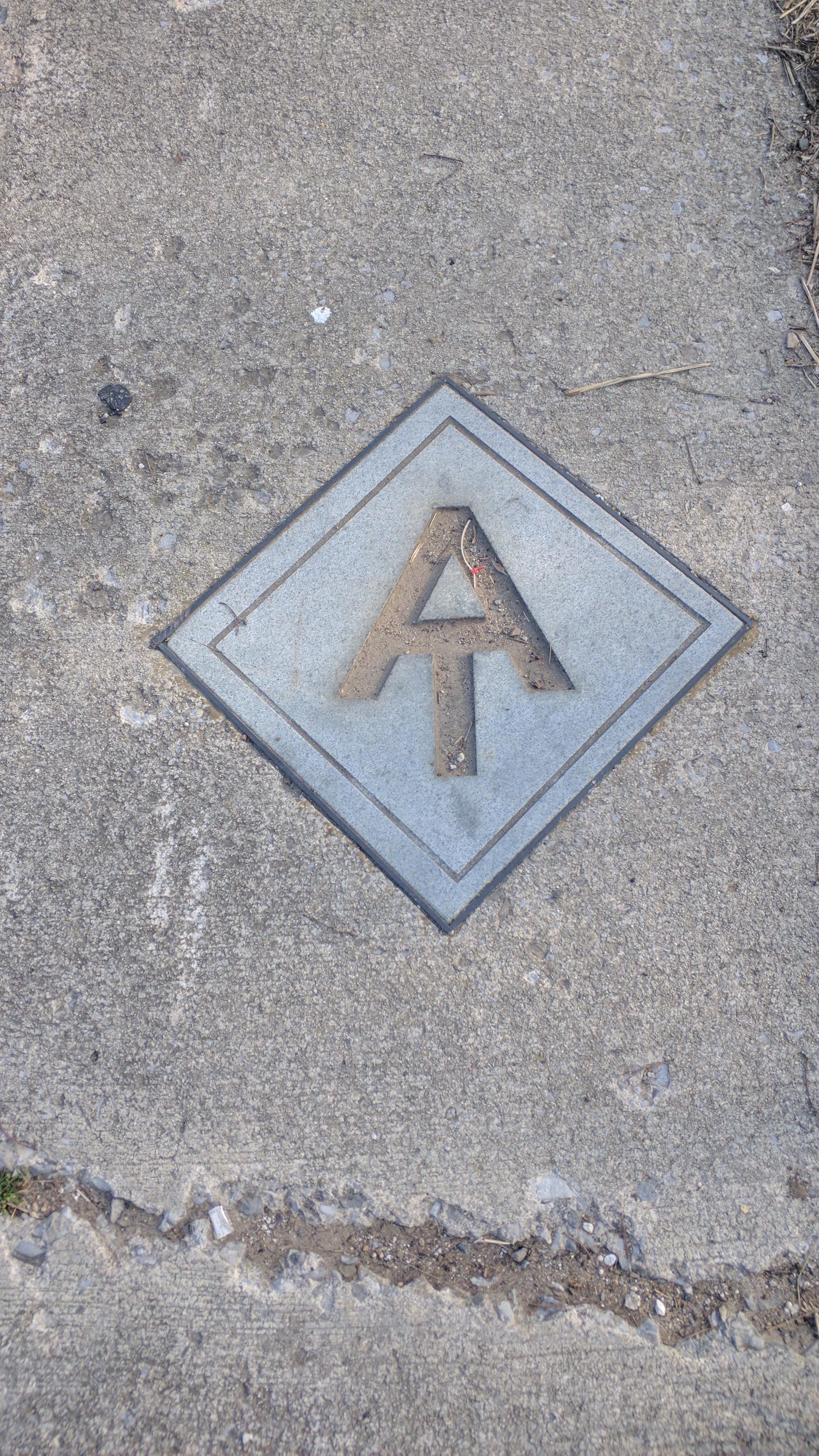 The sidewalk in Hot Springs has these markers for the trail instead of the usual white blazes. 