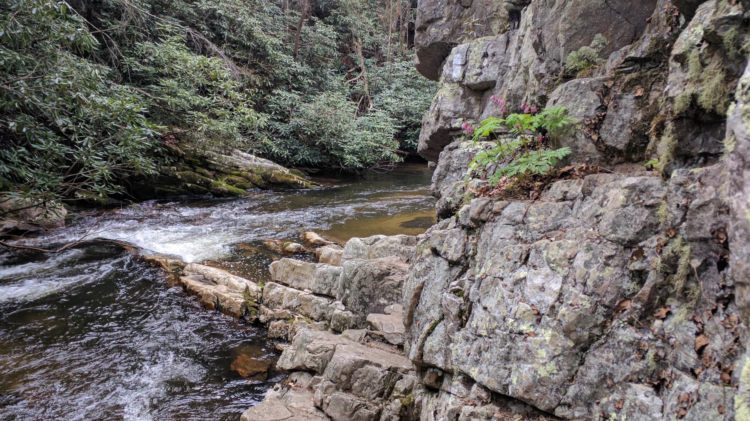 This is literally the trail. It hugs the rock face along the river. 
