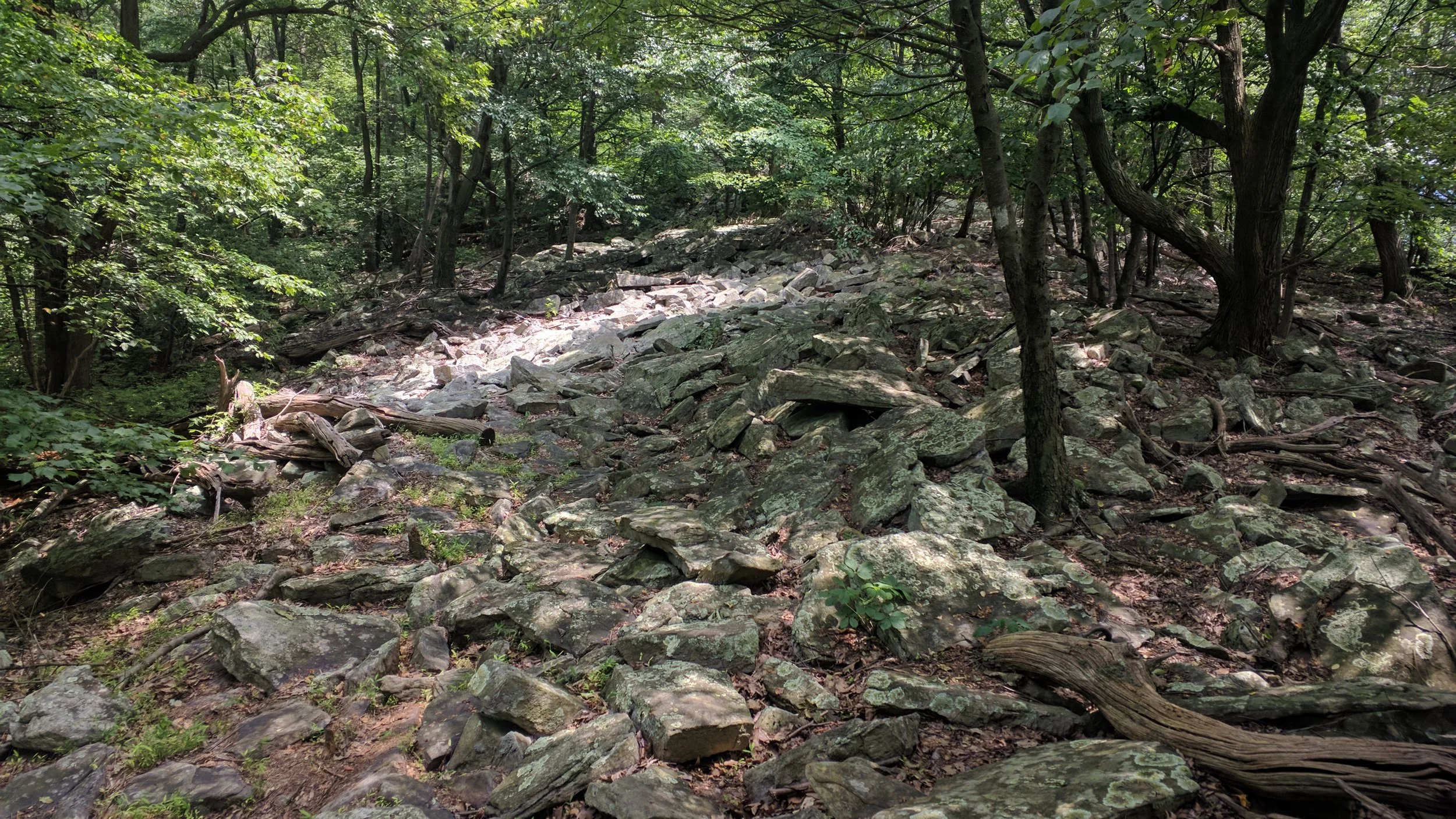 This is field of rocks is literally the "trail".