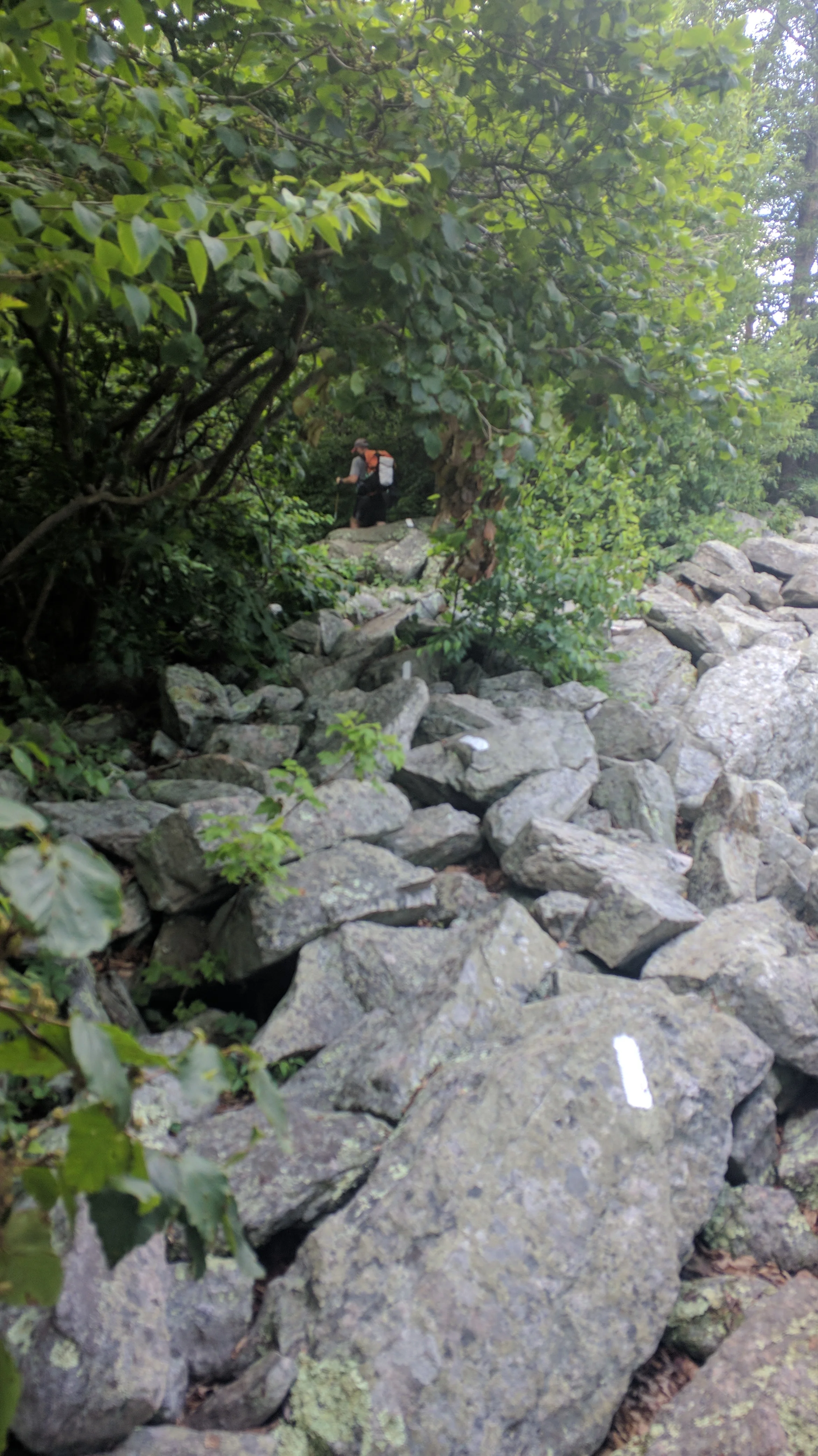 Yup, this is the trail. Hop Along at the end there.