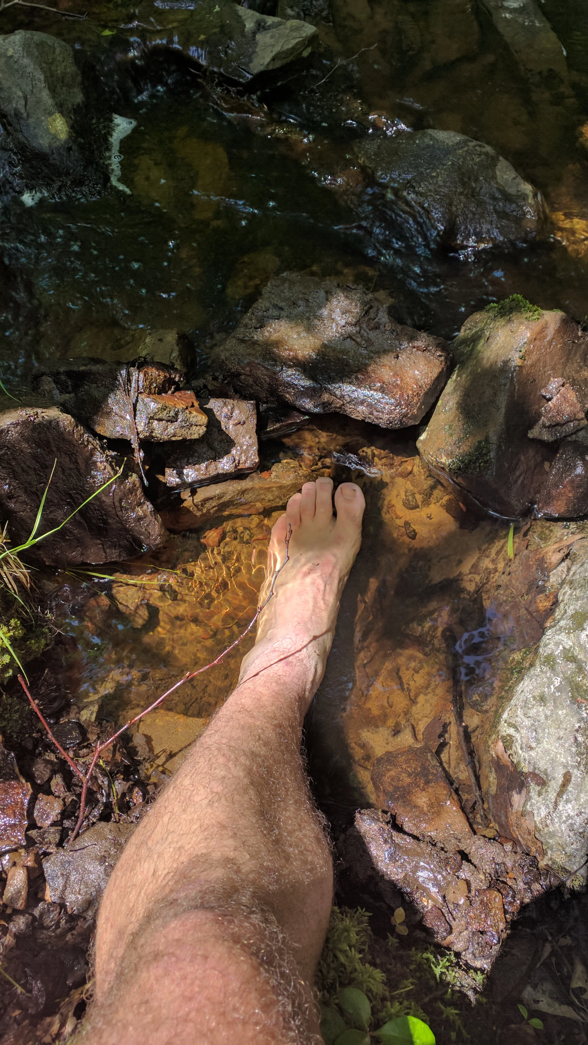 Giving the ol' ankle an "ice bath".