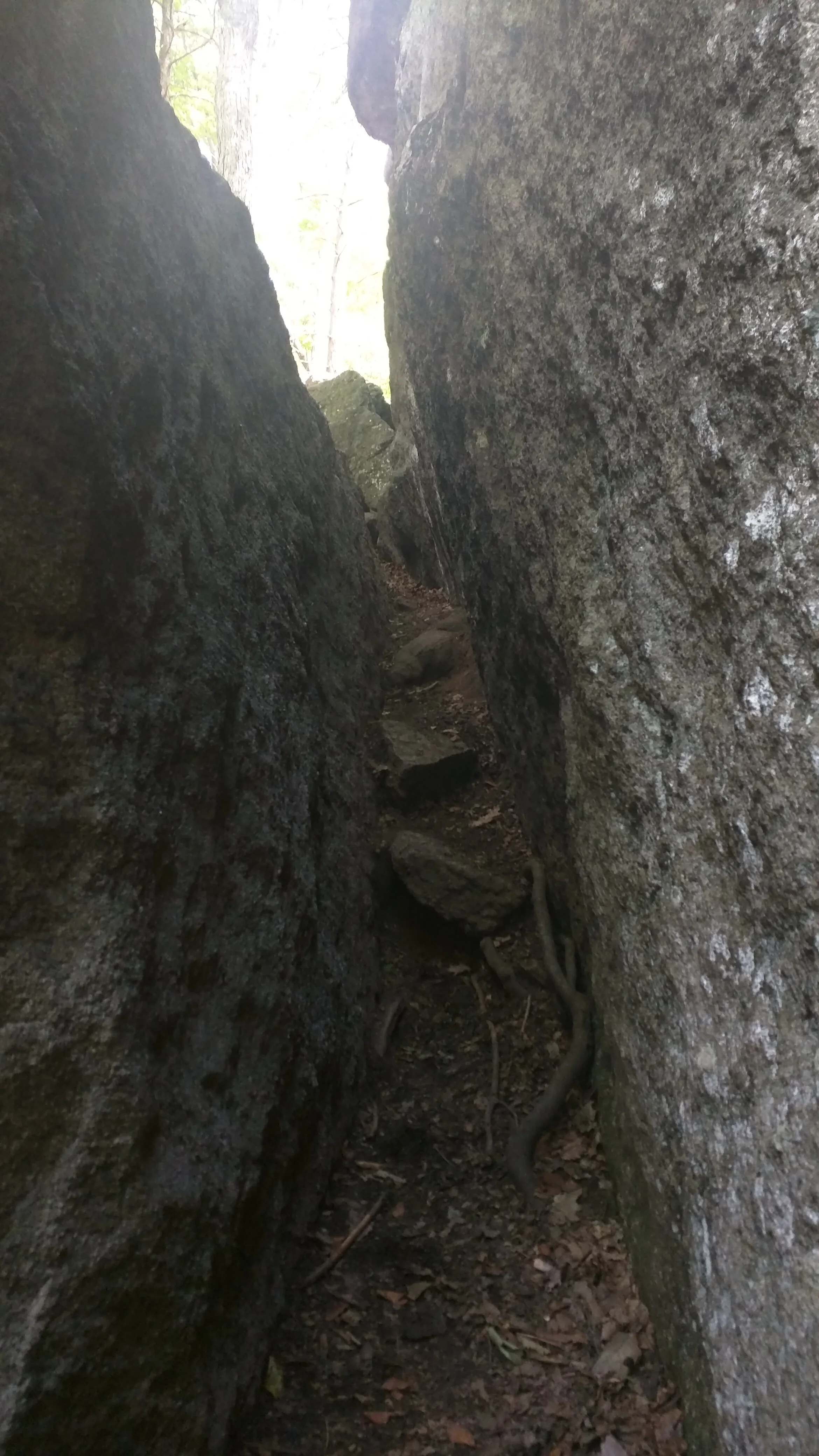 I had to take my backpack off and throw it up on the ledge to the left to squeeze through here. Immediately after I had to do the same thing to do a vertical rock climb. There was a route labeled "Easy Way", but I'm not out here for that.
