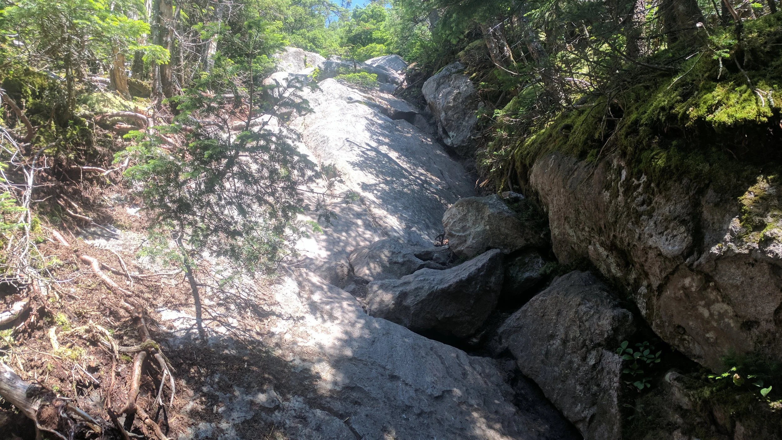 It is hard to tell from this photo, but this is an incredibly sharp incline. I had to stow my trekking poles and rock climb up this thing. There is a lot of this in The Whites.