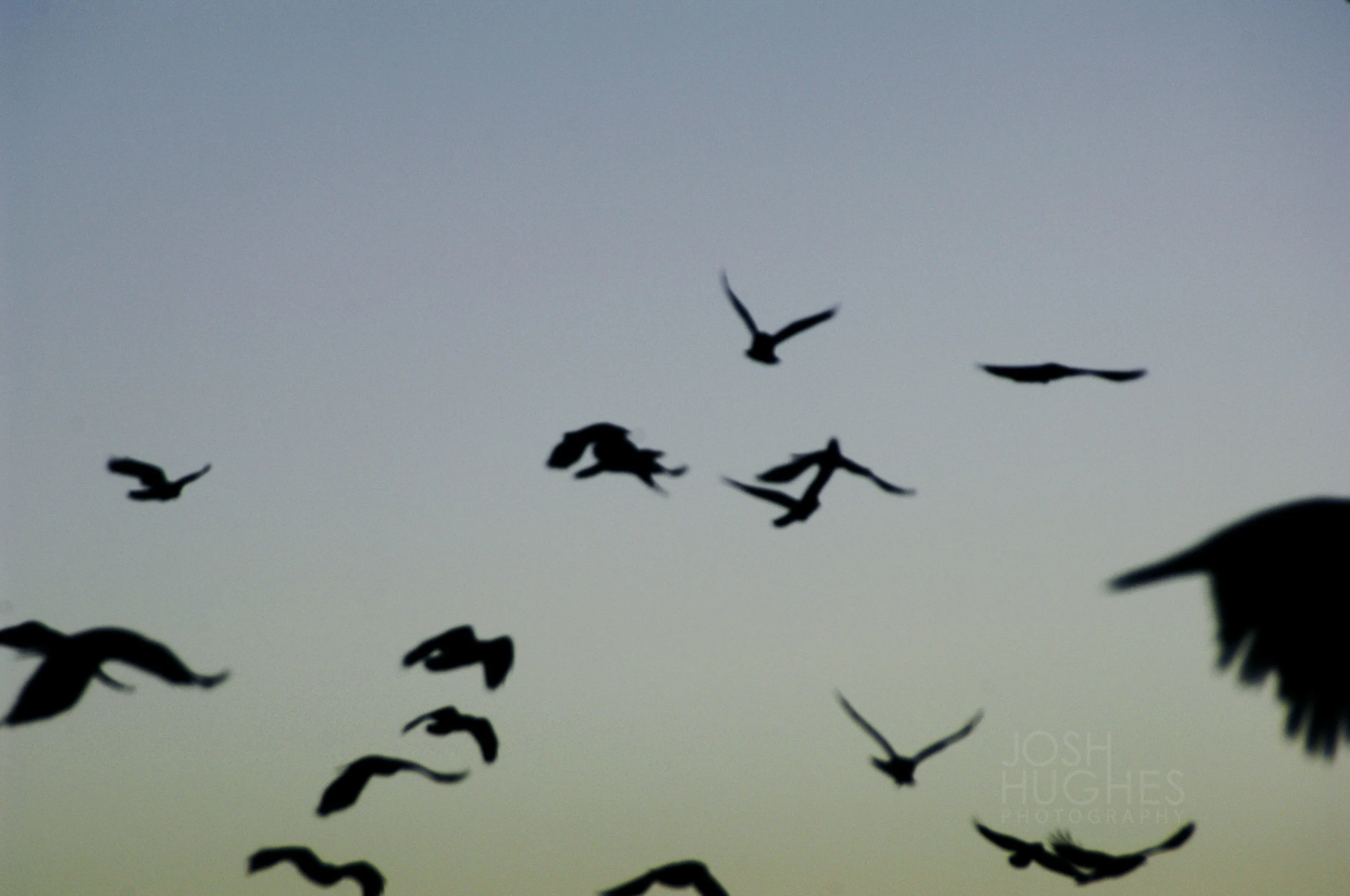 _J009352 - Version 2.jpg