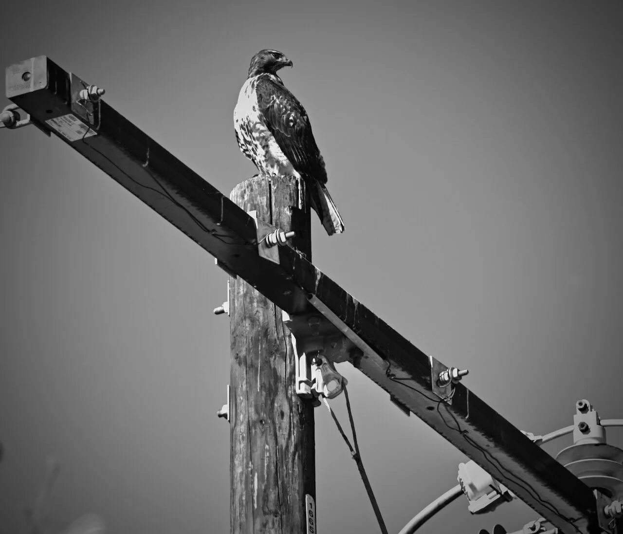 Screen Shot 2021-01-07 at 7.35.22 AM.jpeg